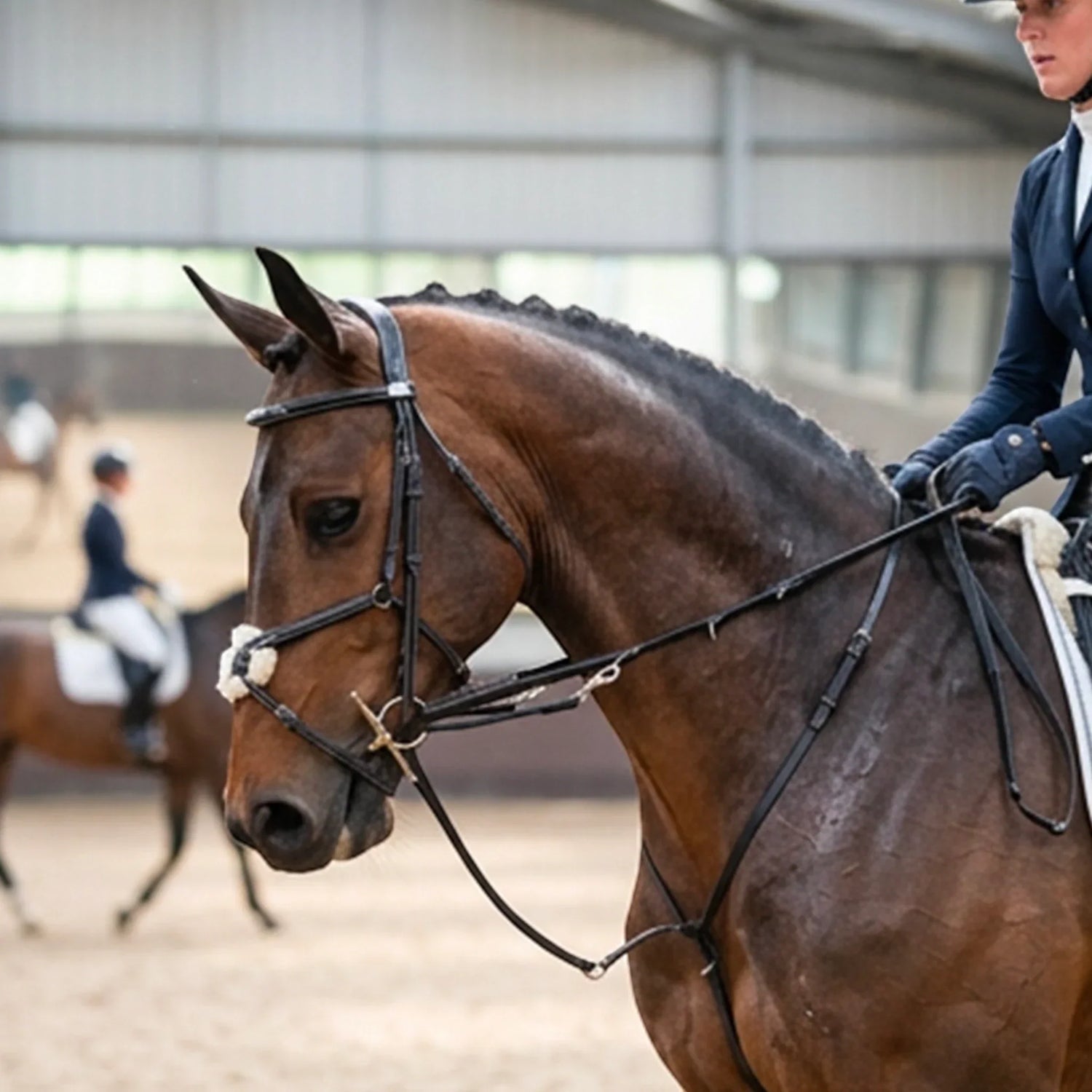 Comment utiliser l'enrênement Howlett pour développer un cheval disponible et équilibré ?