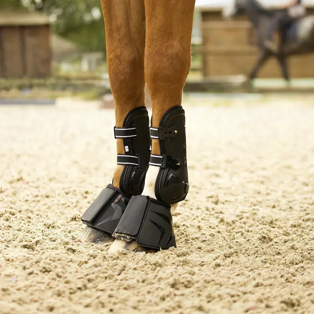 Comment bien choisir les protections de son cheval au travail ?