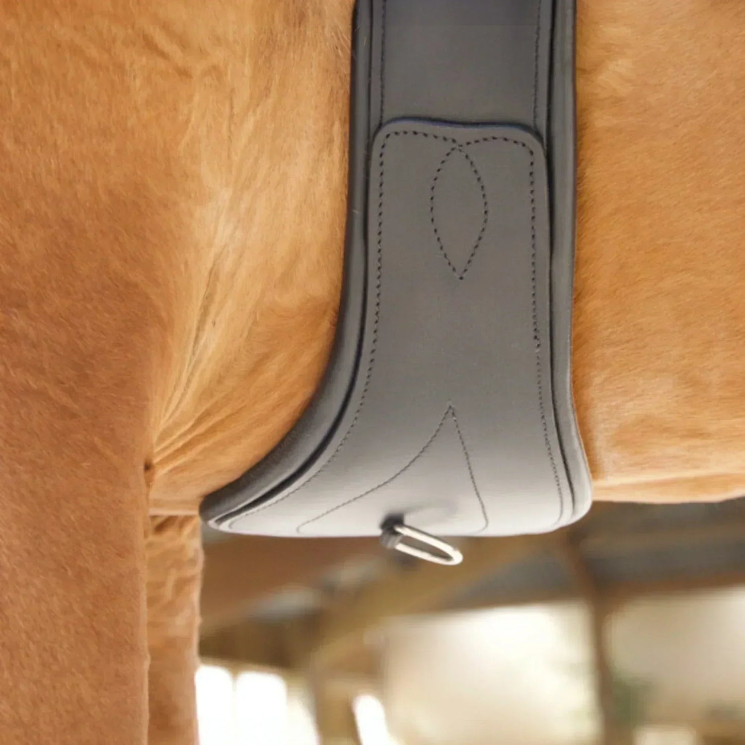 L’importance d’une sangle d’équitation de qualité pour le confort de votre cheval
