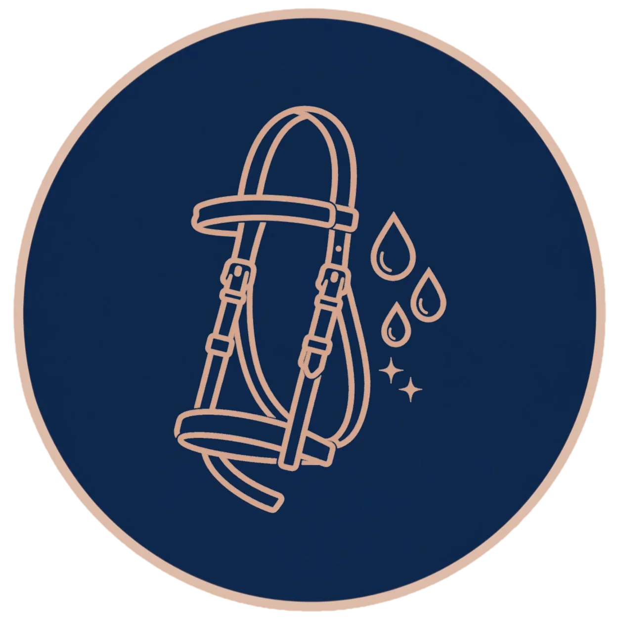 TdeT - Briderie Biotack