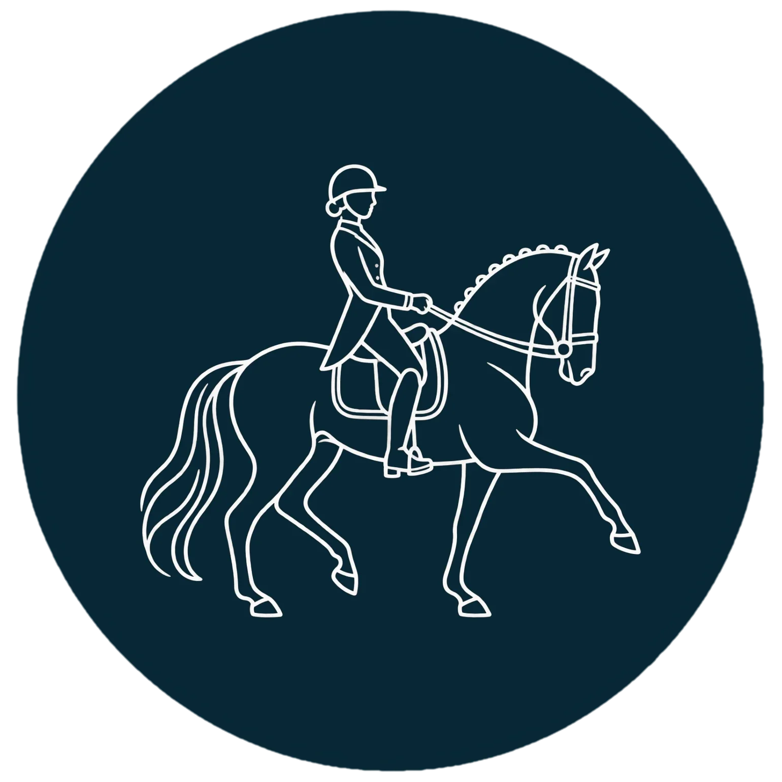 TdeT - Discipline dressage