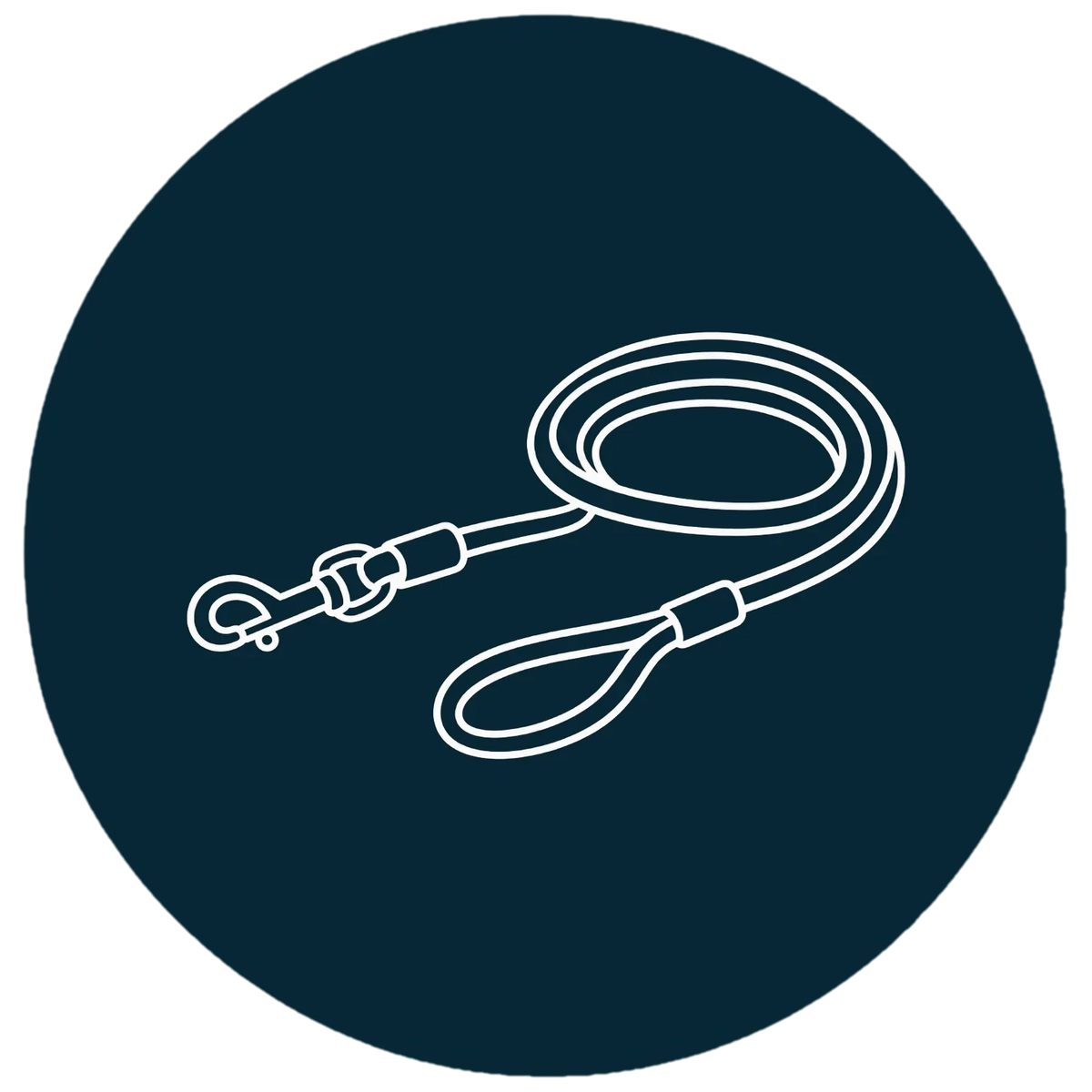TdeT - Dog Leashes