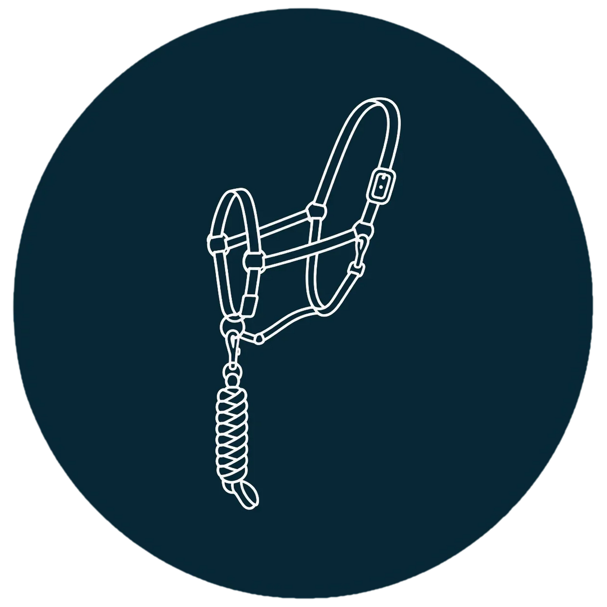 TdeT - Halters and Lead Ropes