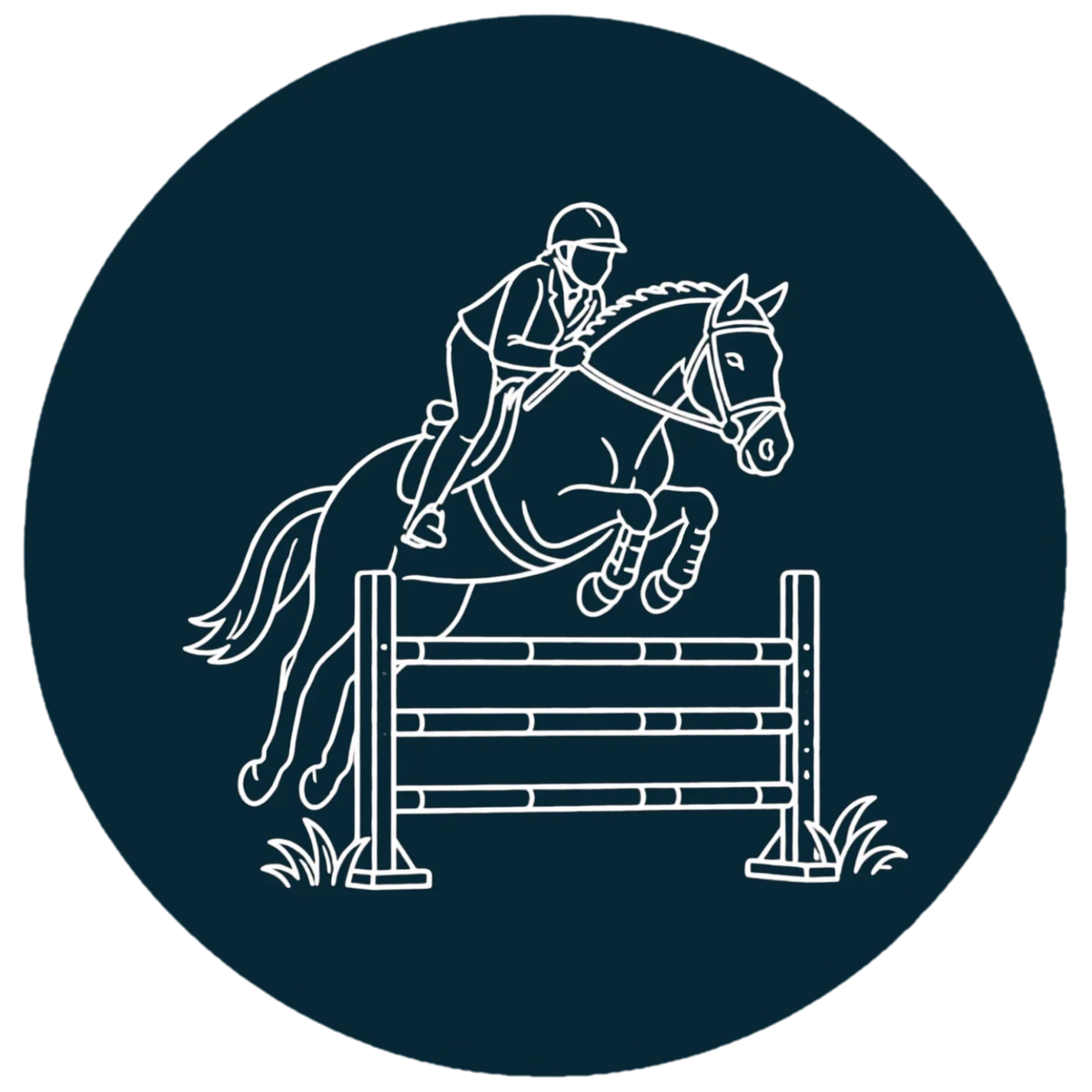 TdeT - Show Jumping