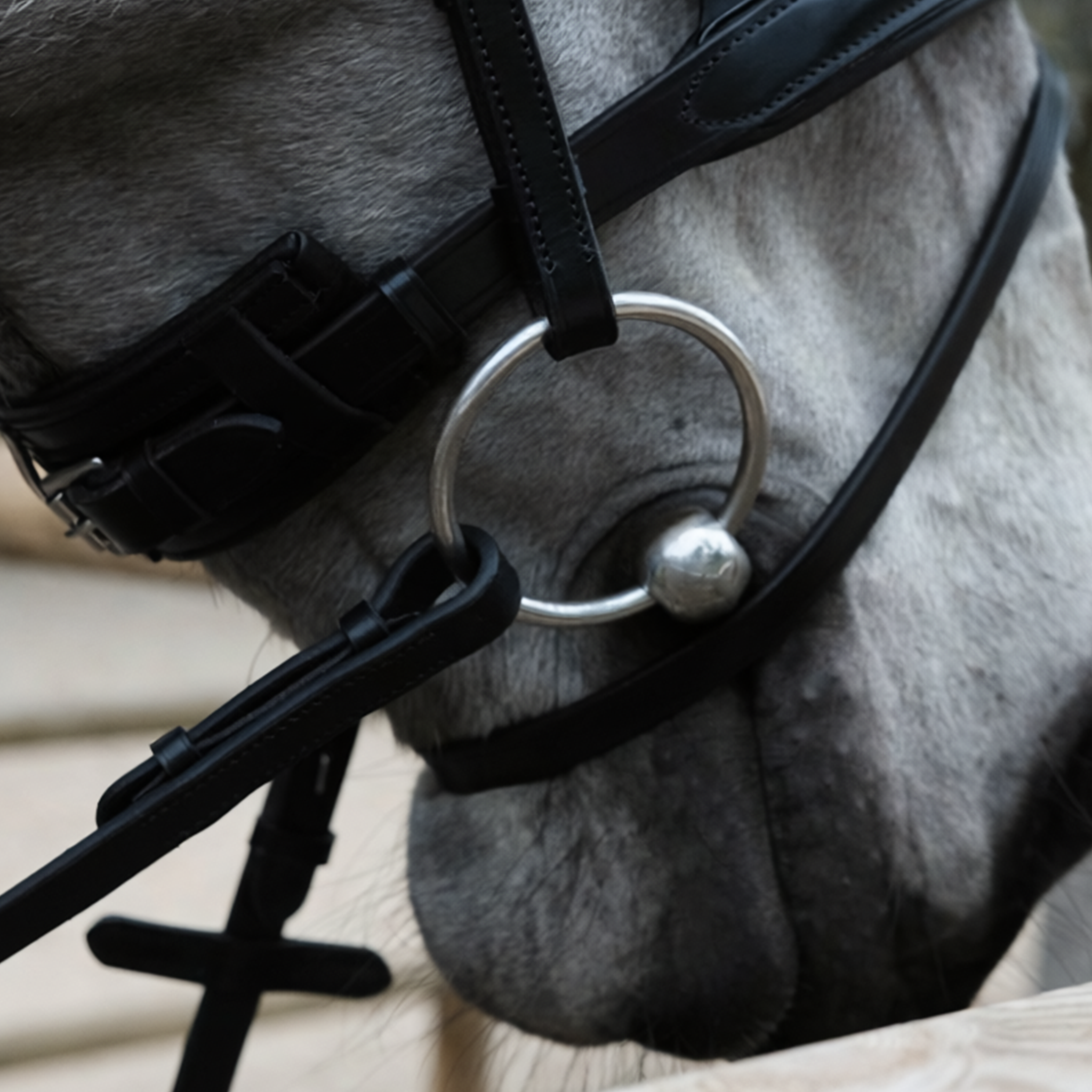 Hopper anatomical bridle with reins