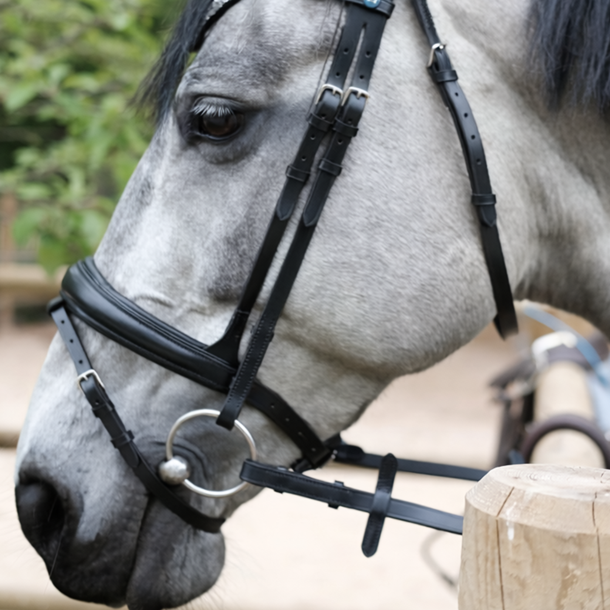 Hopper anatomical bridle with reins