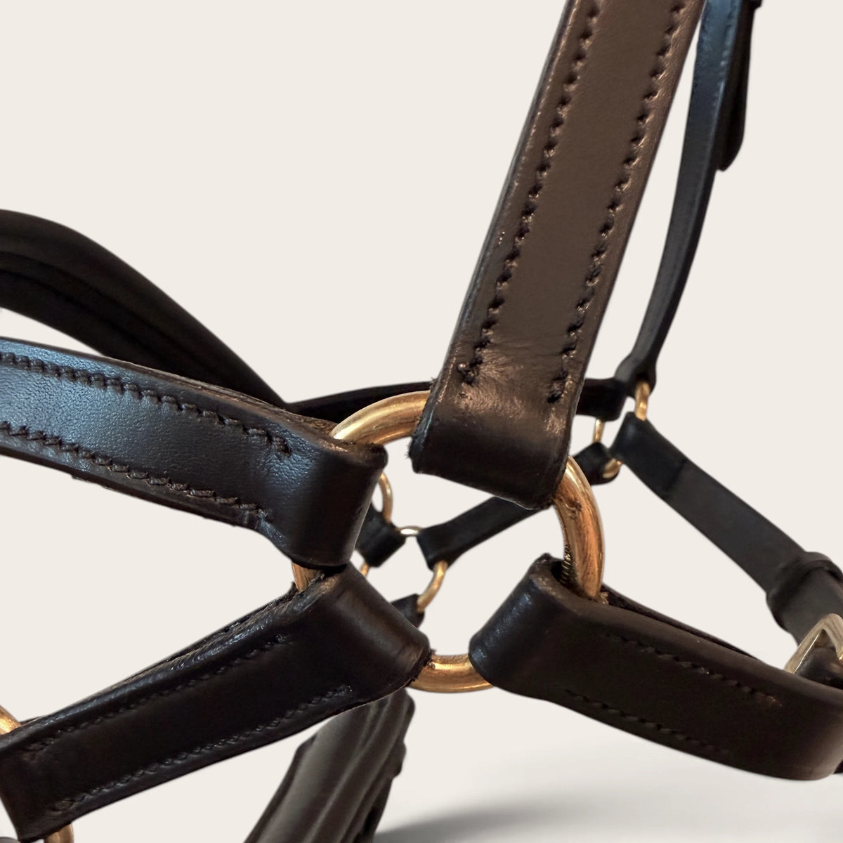 TdeT - Bridon Sidepull cuir No More noir