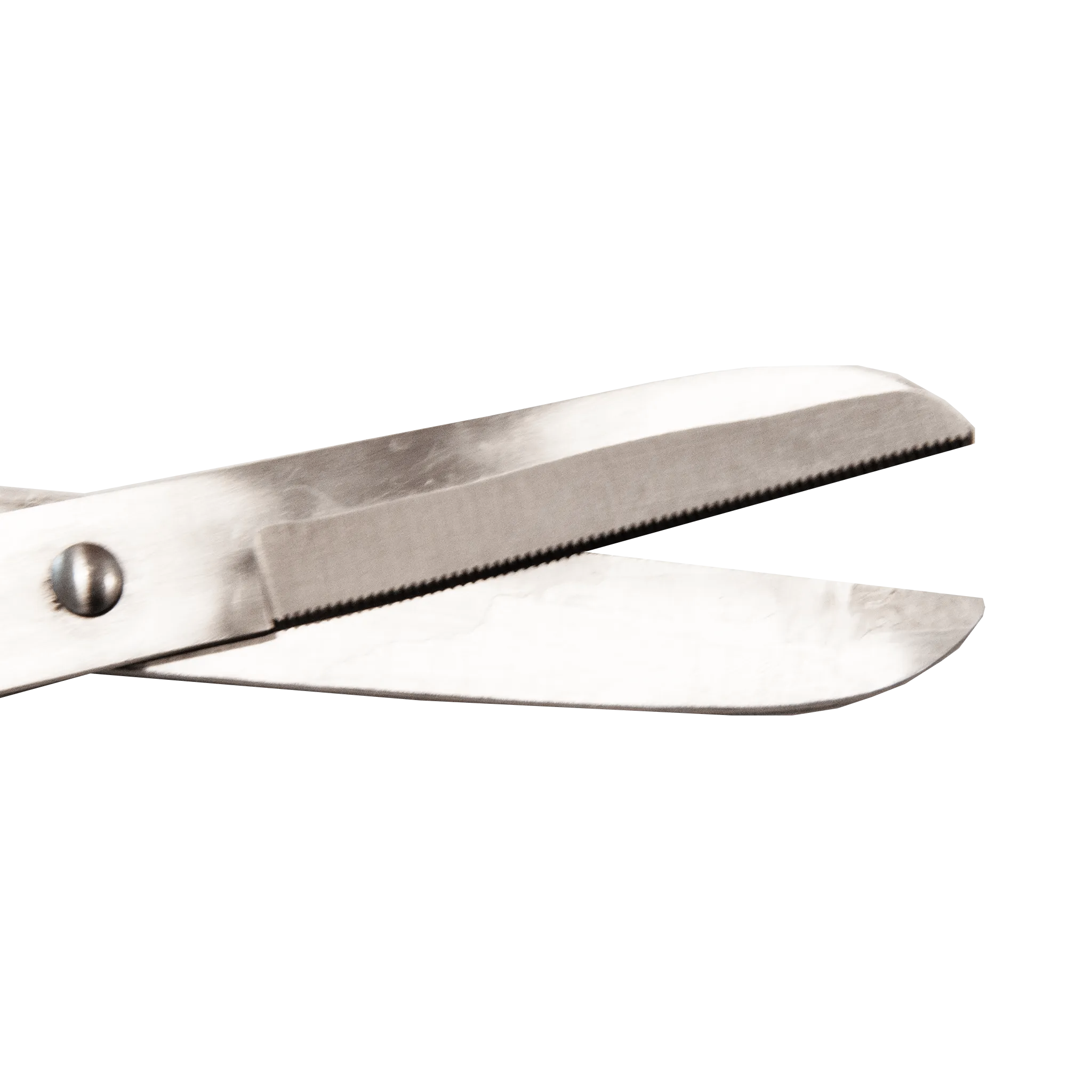 TdeT - Curved grooming scissors