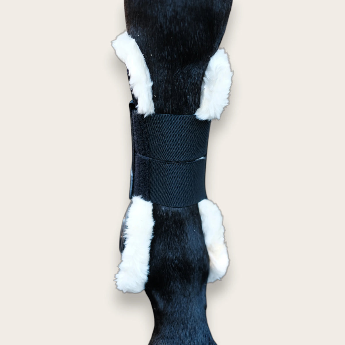 TdeT - Guetres Design Mouton noir