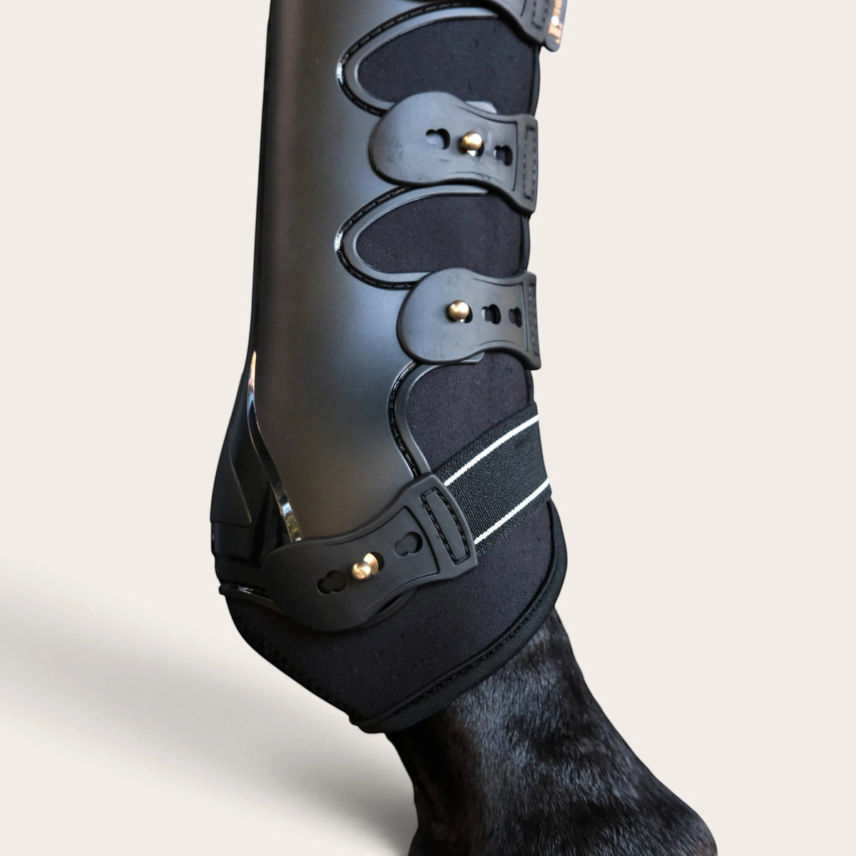TdeT - Guetres Fermees Dressage noir