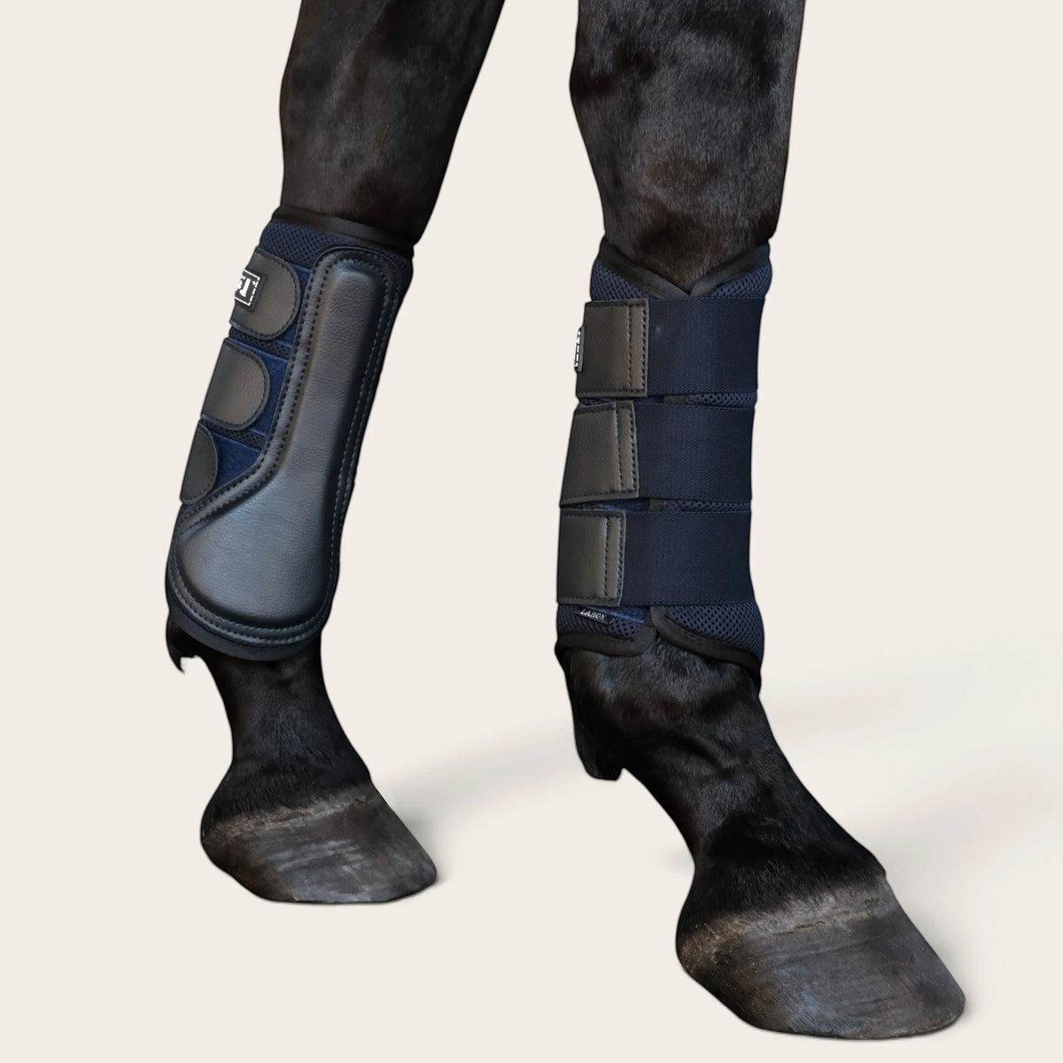 TdeT - Guetres Mesh et Neoprene marine