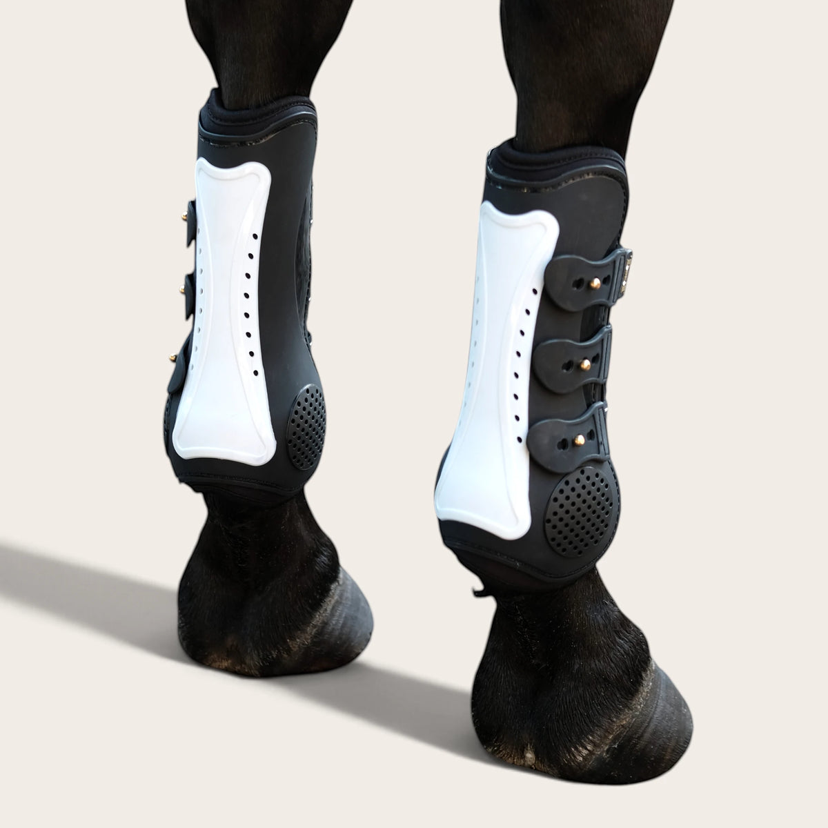 TdeT - Guetres Proteck Compet noir blanc