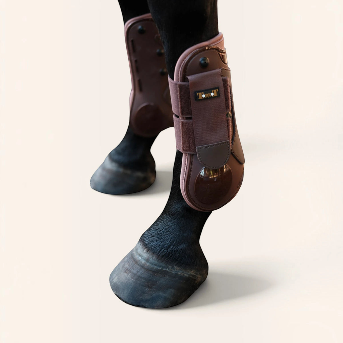 TdeT - Guêtres coque cuir marron