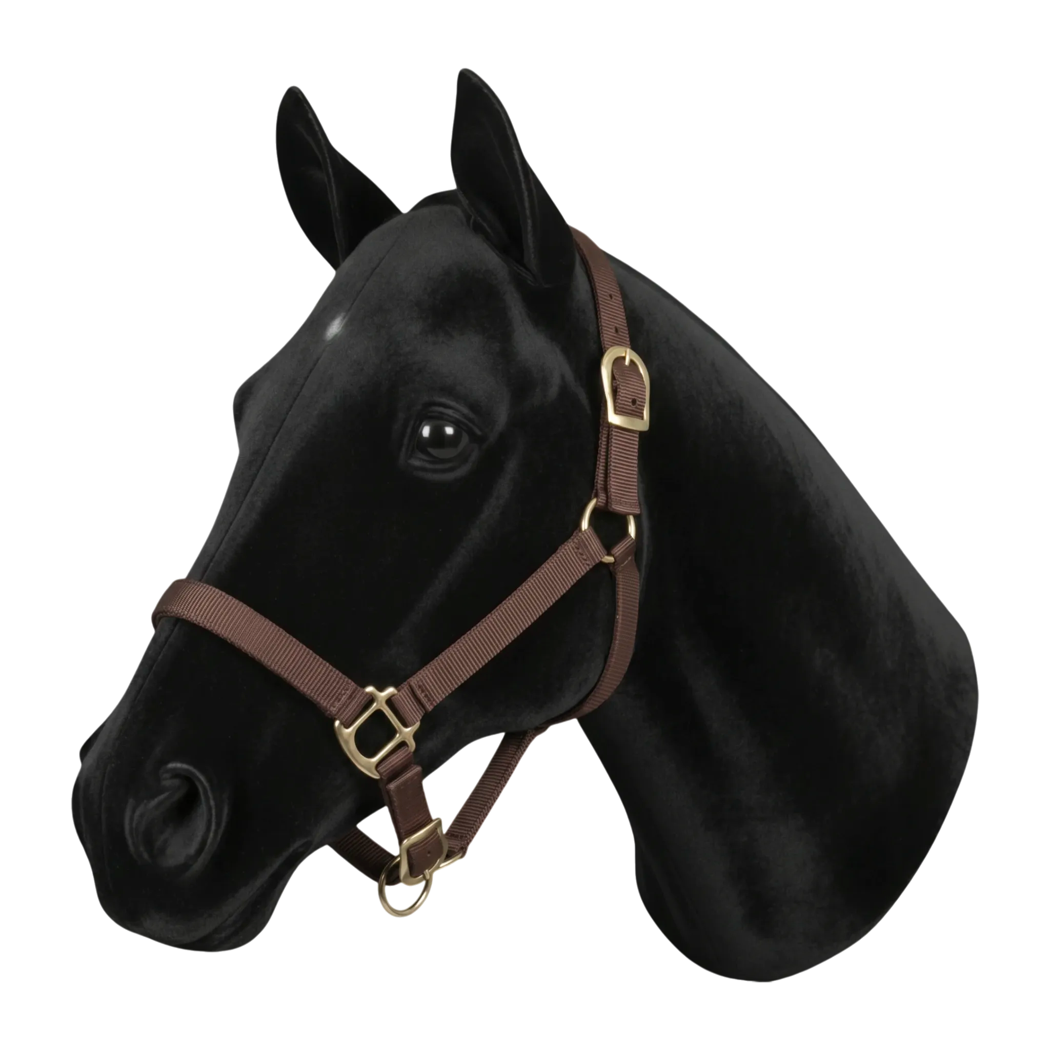 First synthetic halter dark brown
