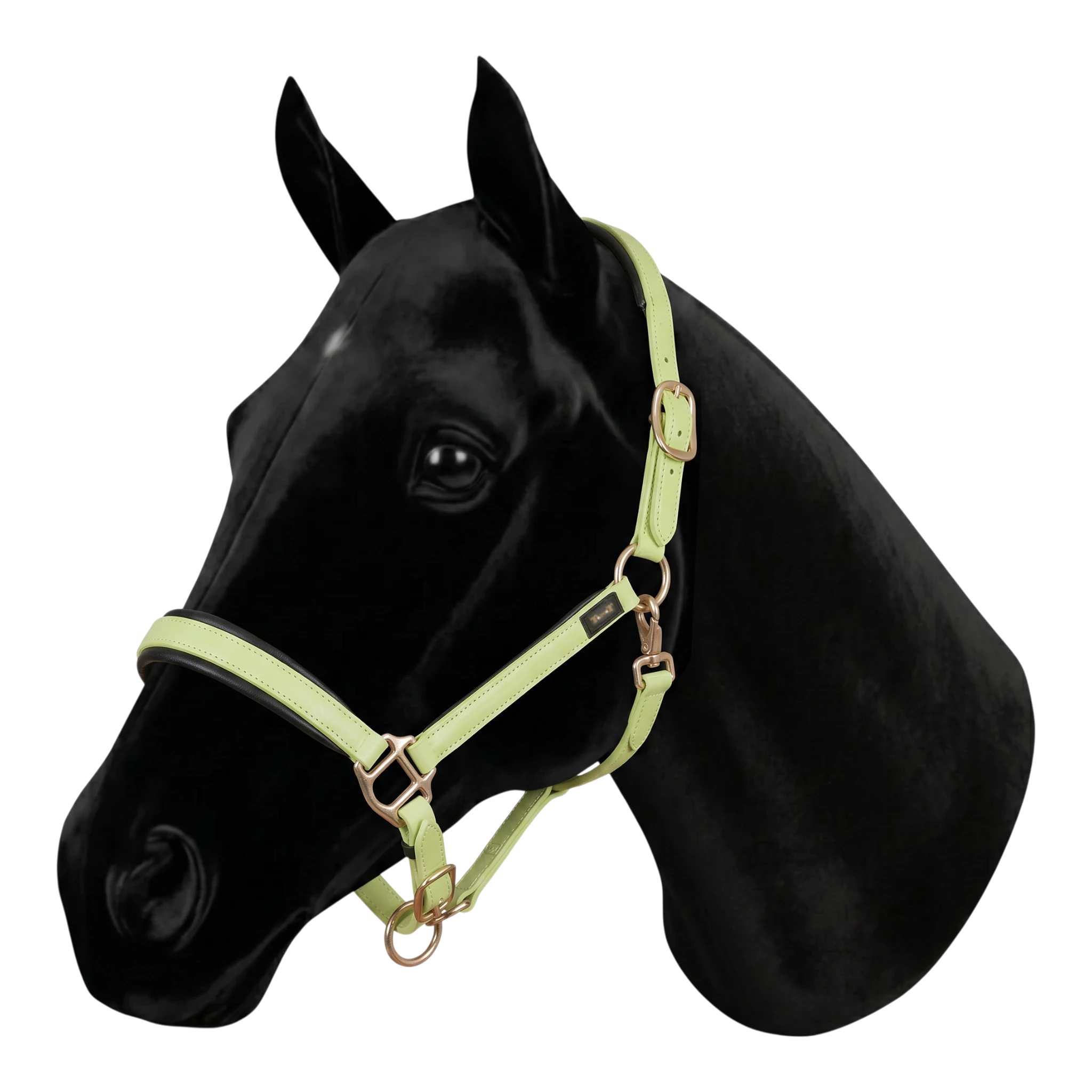 Lime green Biotack® halter