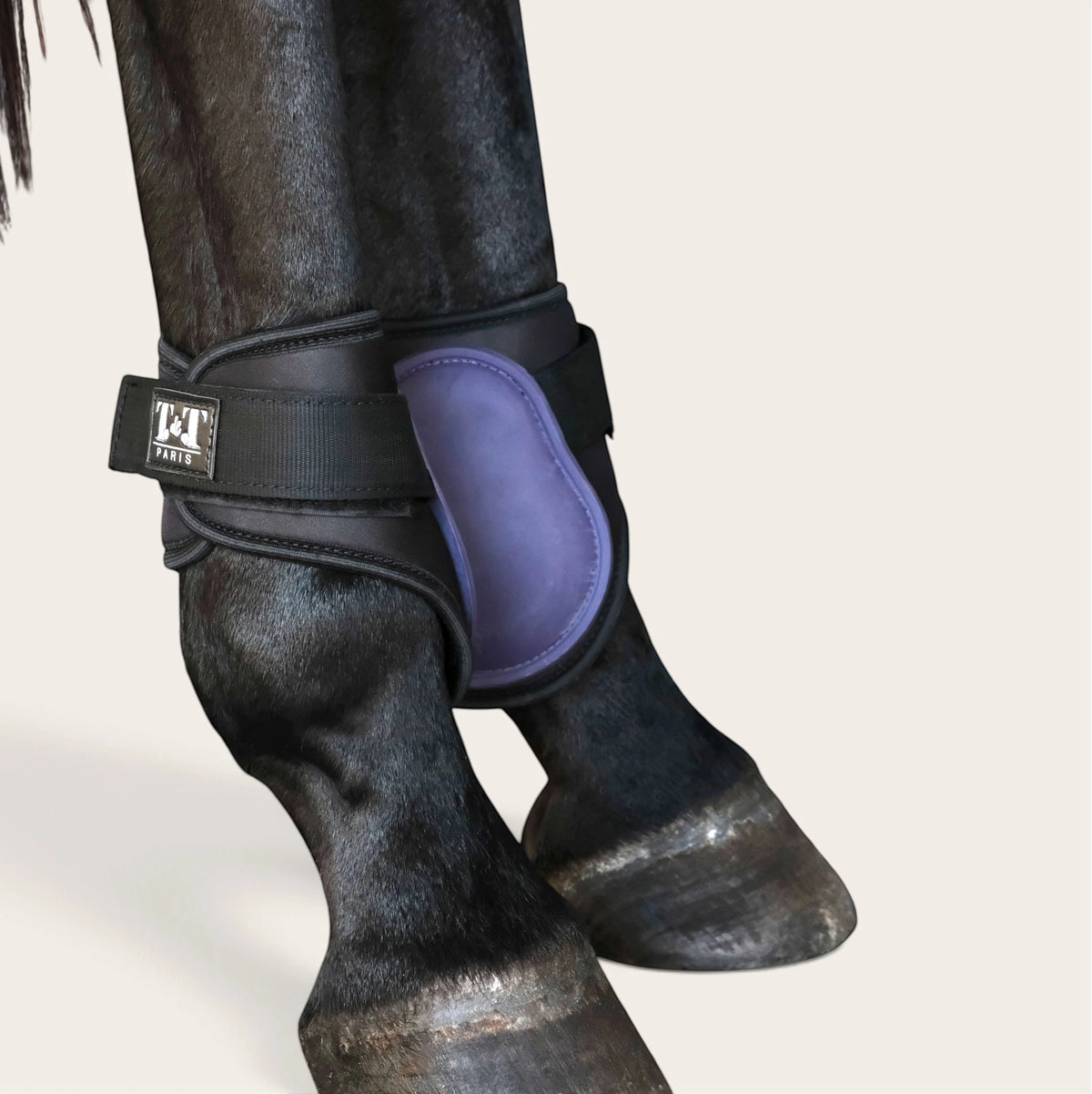 TdeT - Protege-Boulets First violet