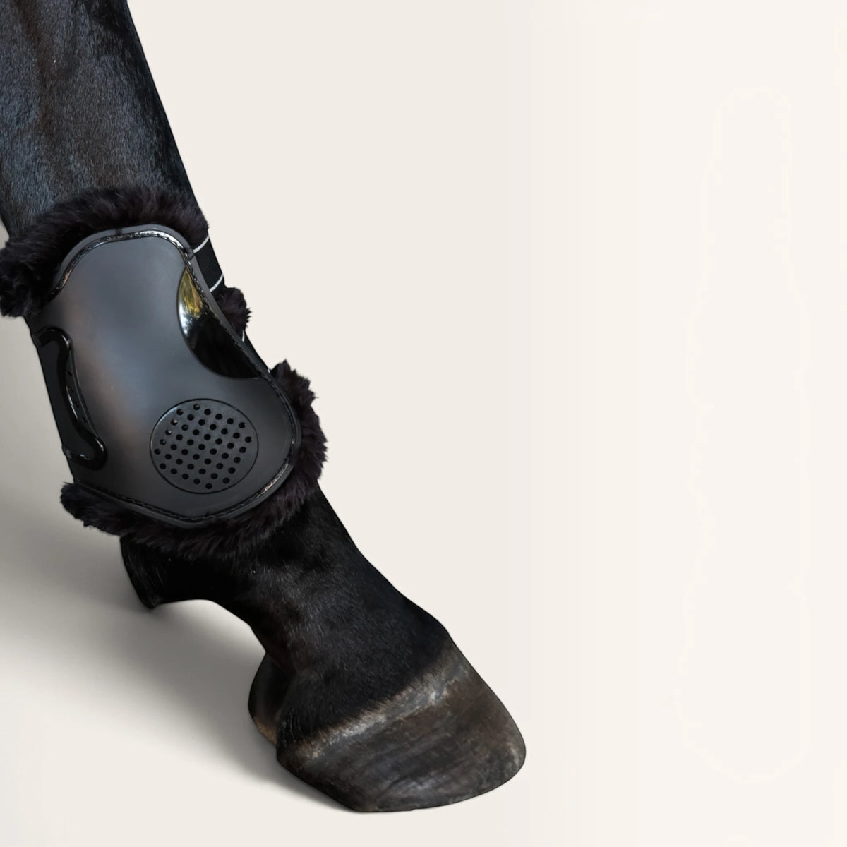 TdeT - Protege boulets Proteck Compet mouton noir noir