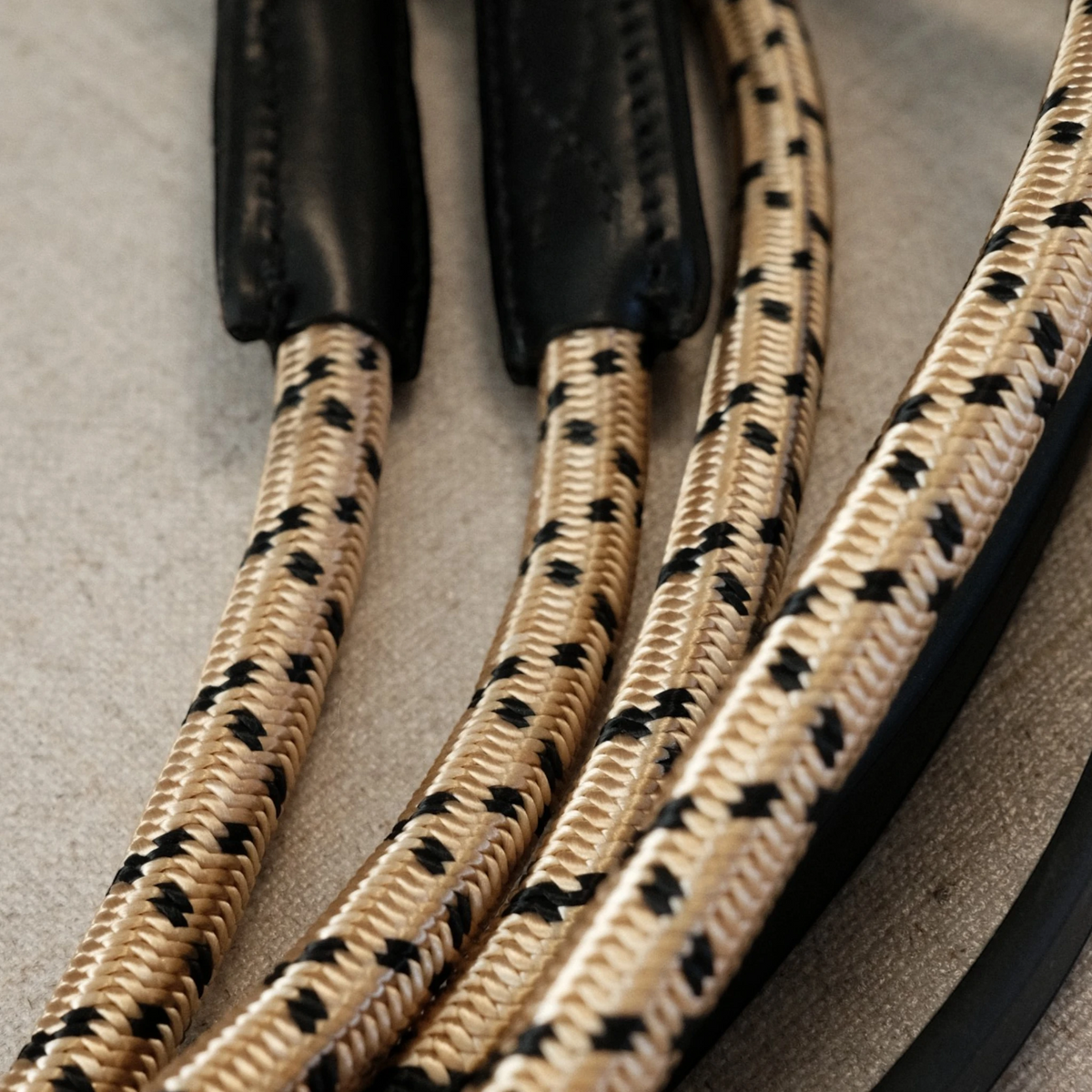 TdeT-Renes Allemandes Noir Beige
