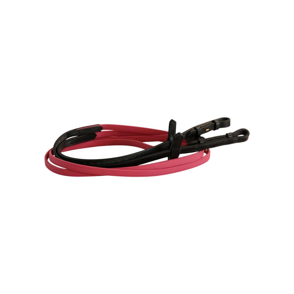 TdeT-Renes Biotack et cuir Fuchsia