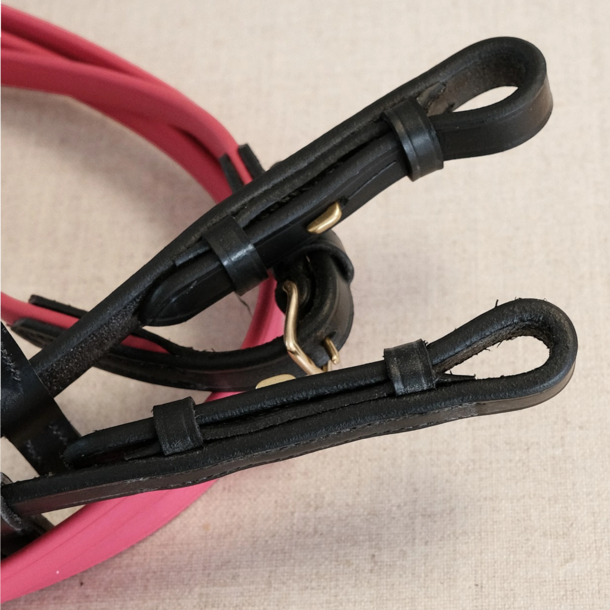 TdeT-Renes Biotack et cuir Fuchsia