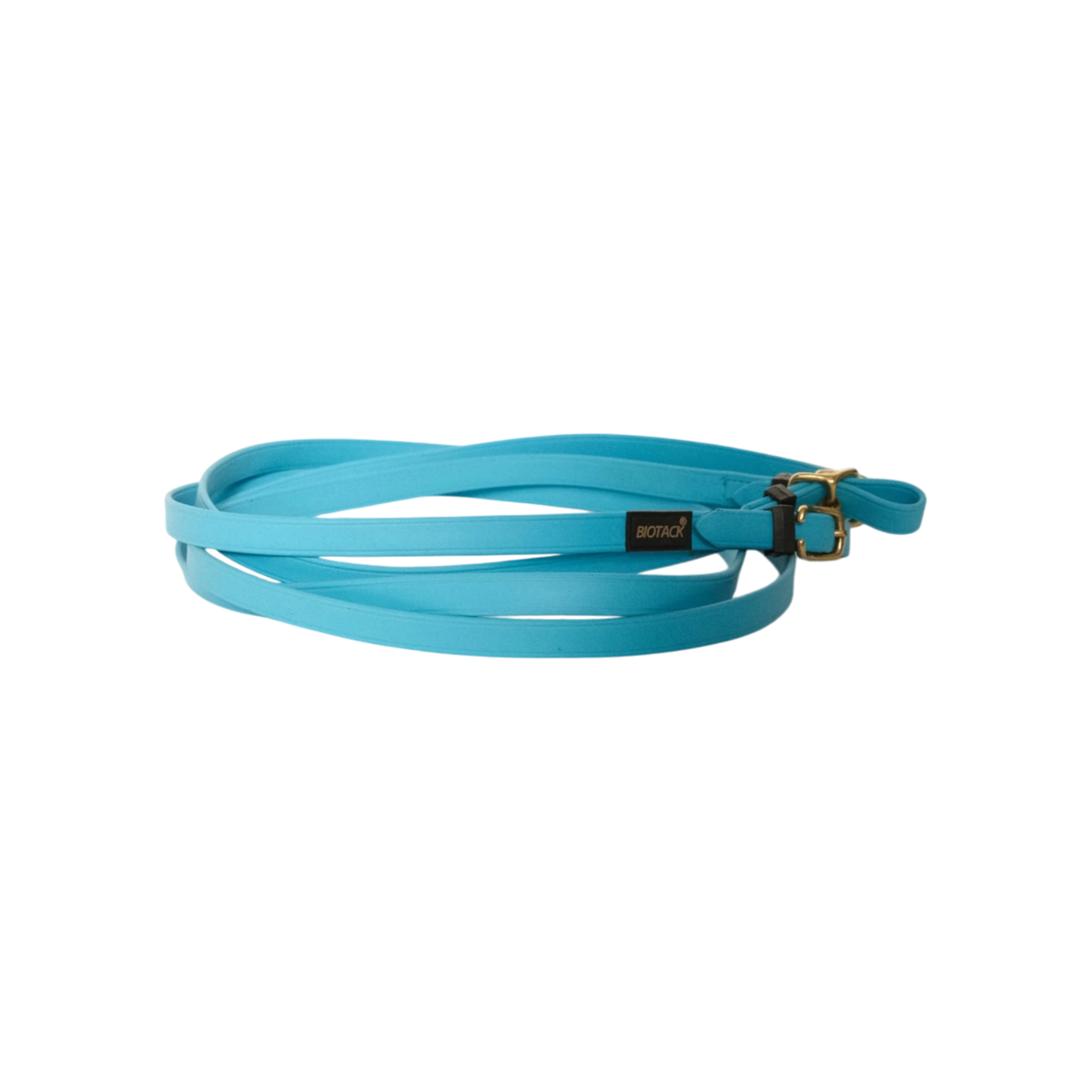 TdeT-Renes Biotack lisses Bleu