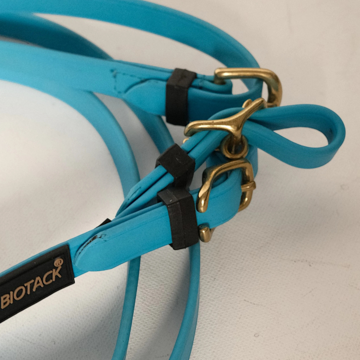 TdeT-Renes Biotack lisses Bleu