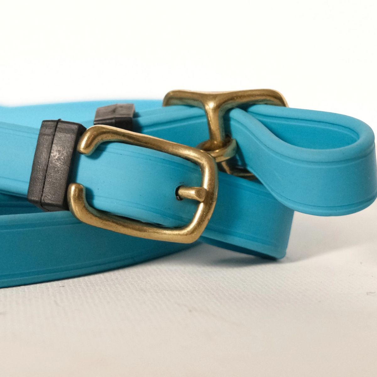 TdeT-Renes Biotack lisses Bleu