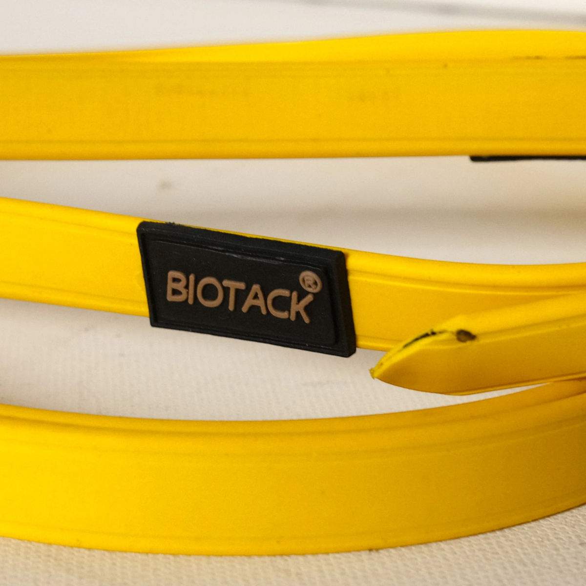 TdeT-Renes Biotack lisses Jaune
