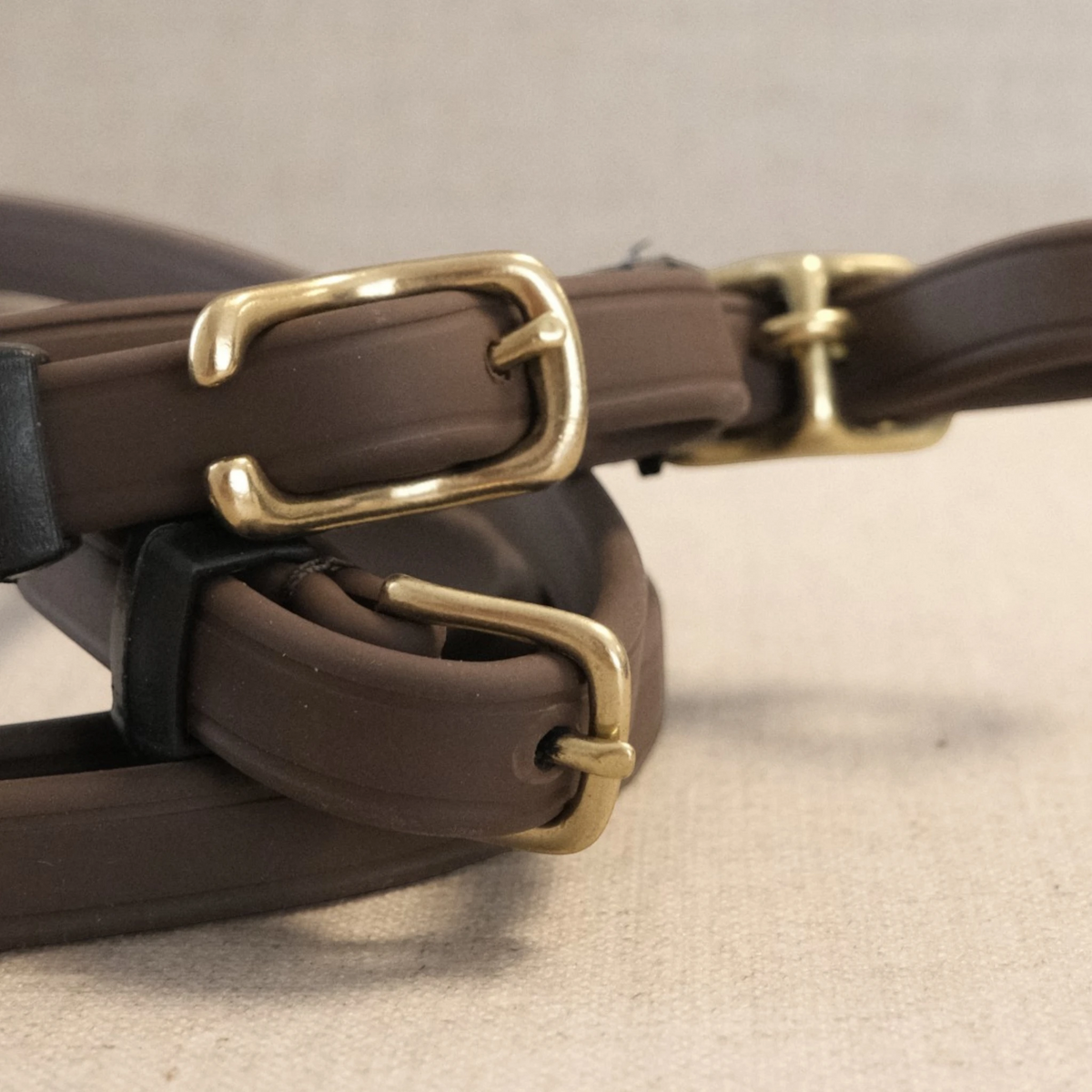 TdeT-Renes Biotack lisses Marron