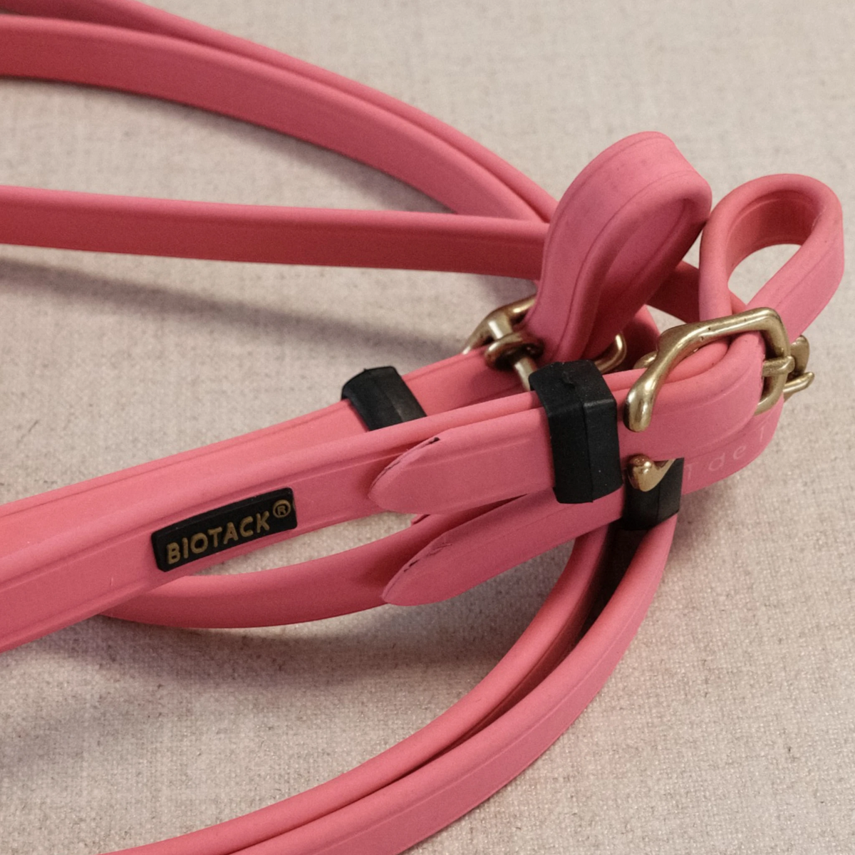 TdeT-Renes Biotack lisses Rose