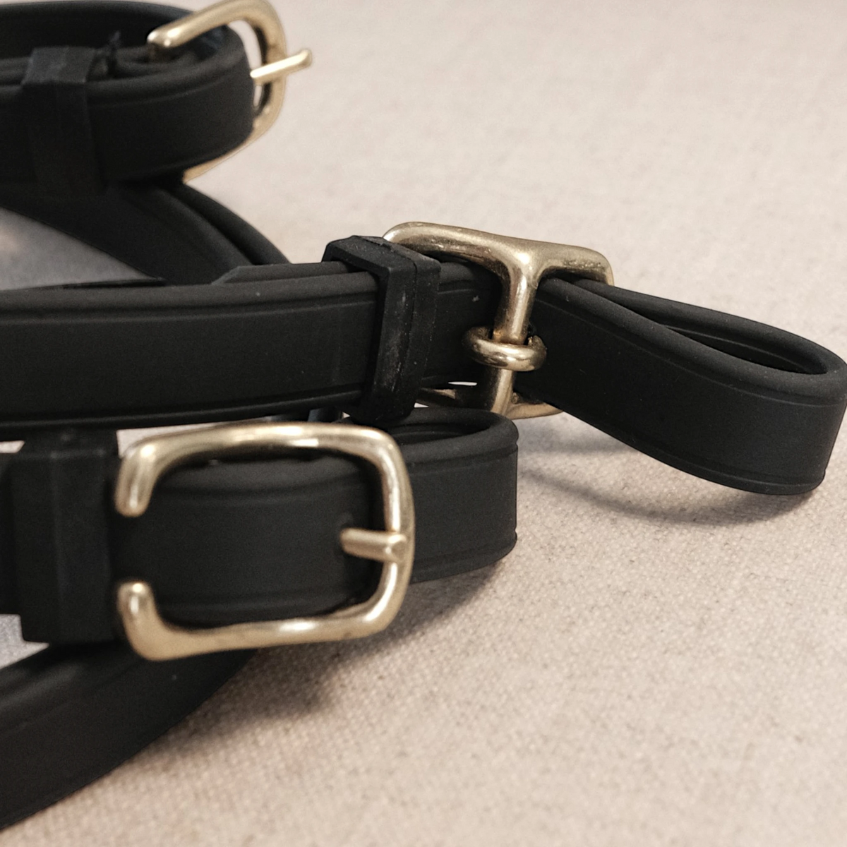 TdeT-Renes Biotack lisses Noir