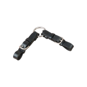 TdeT - Alliances de mors à anneau noir