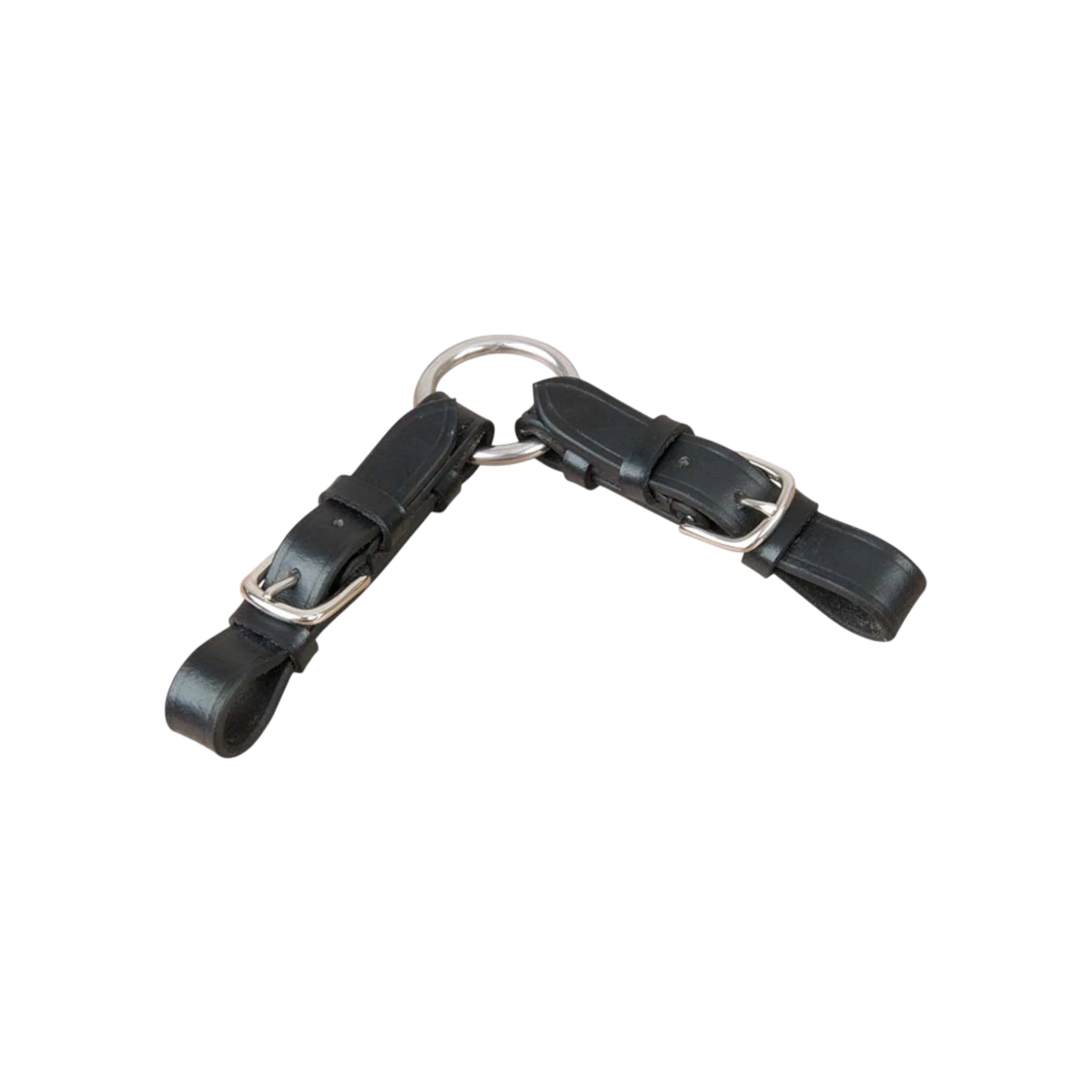 TdeT - Alliances de mors à anneau noir