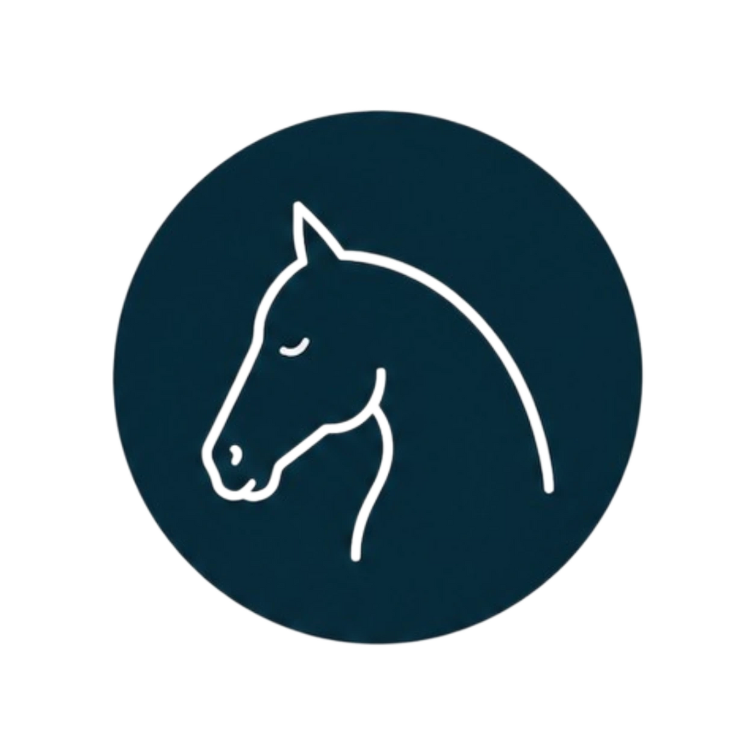 Confort du cheval