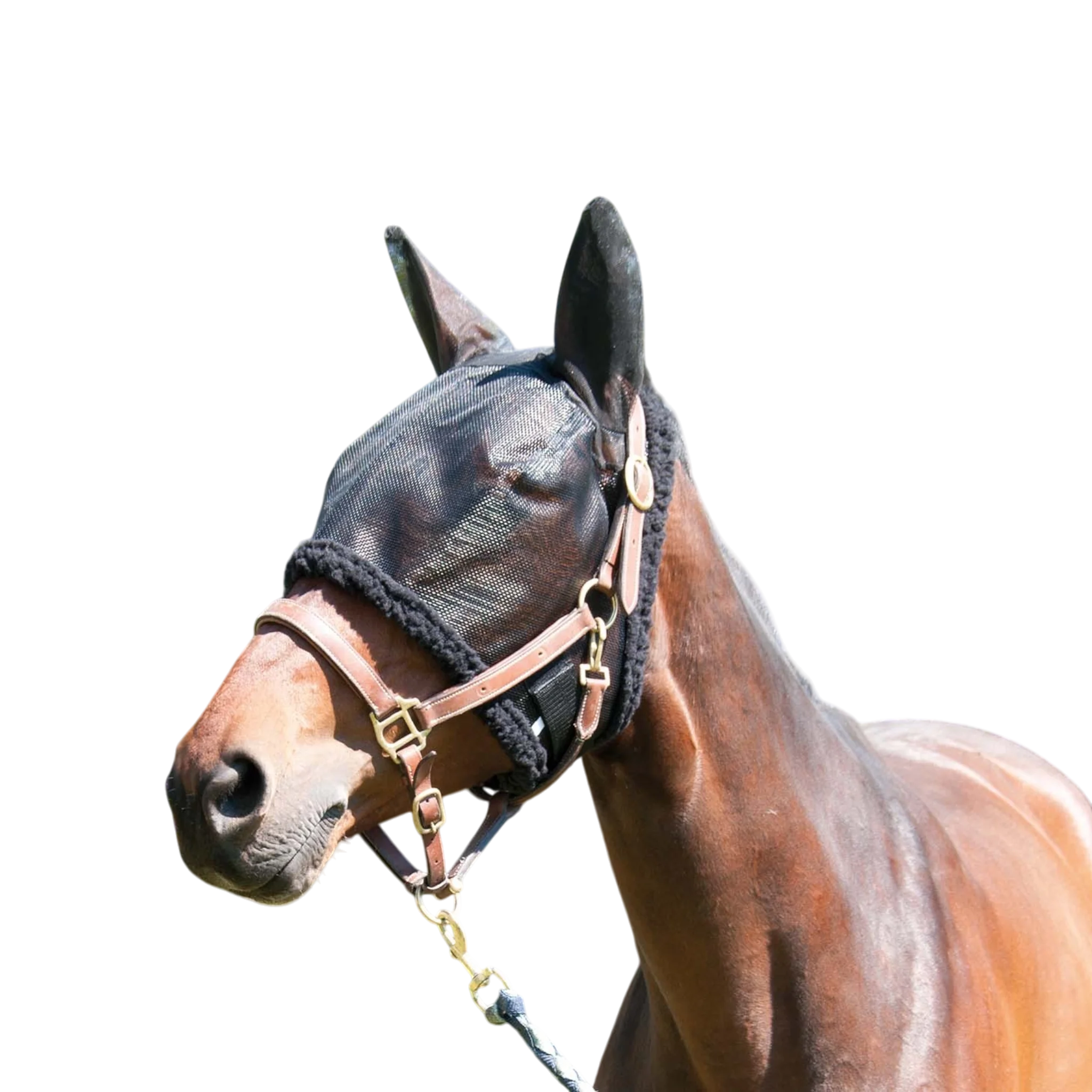 TdeT - Masque anti-mouches avec oreilles