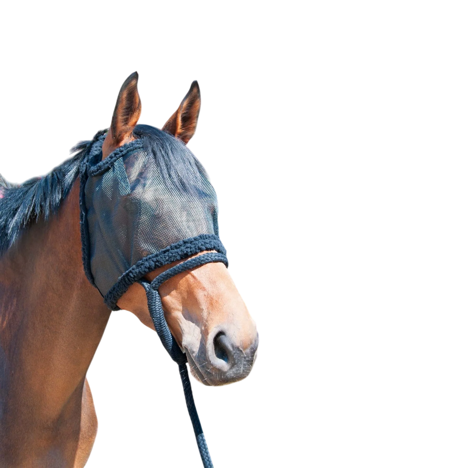 TdeT - Masque anti-mouches sans oreilles