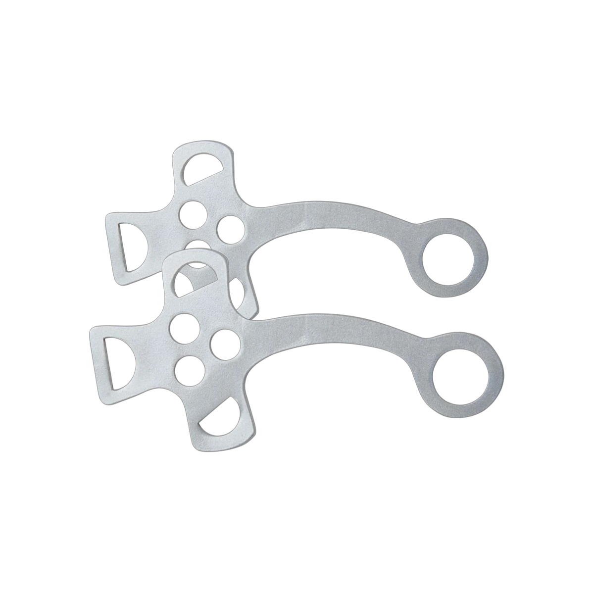 TdeT - Branches d'hackamore argent