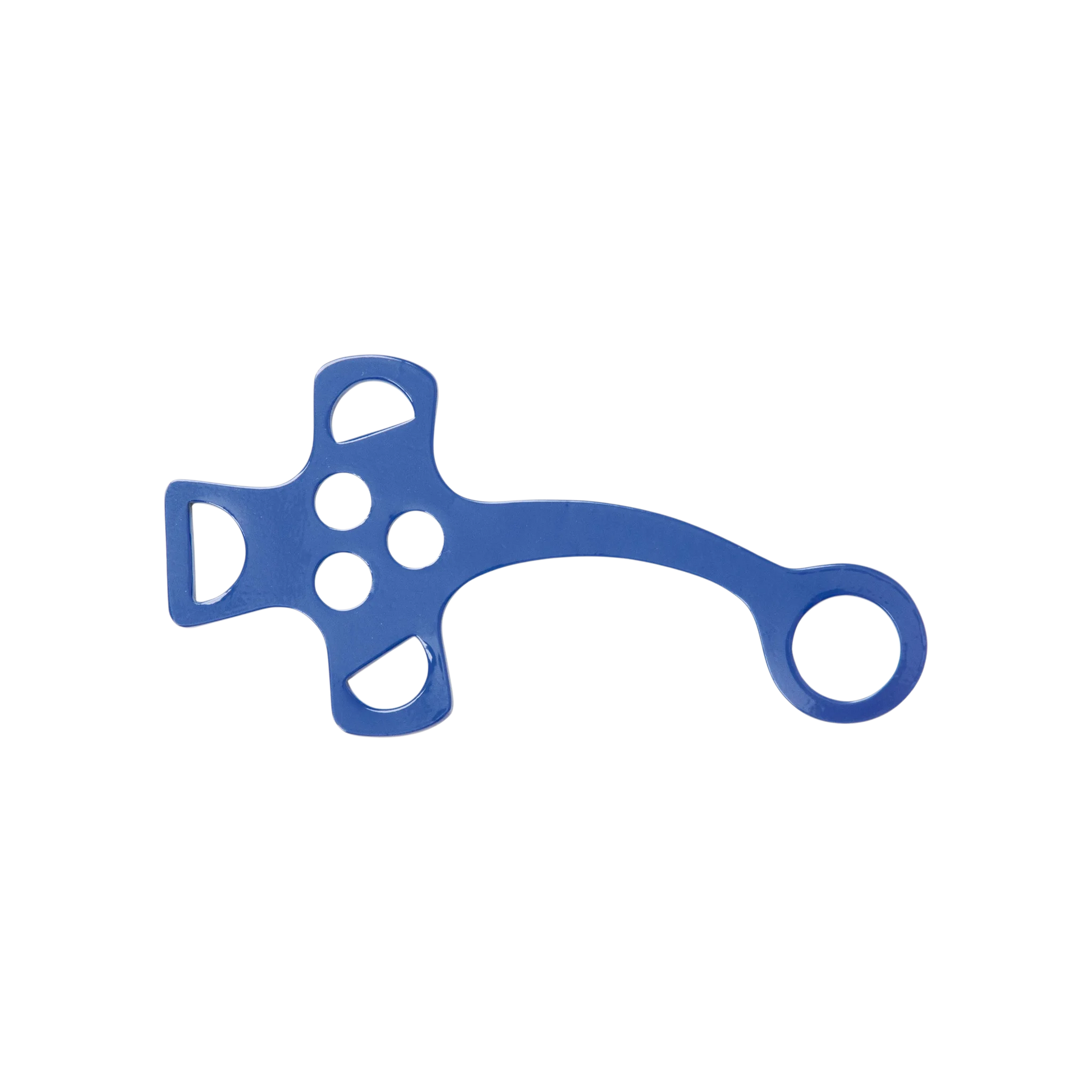 TdeT - Branches d'hackamore bleu