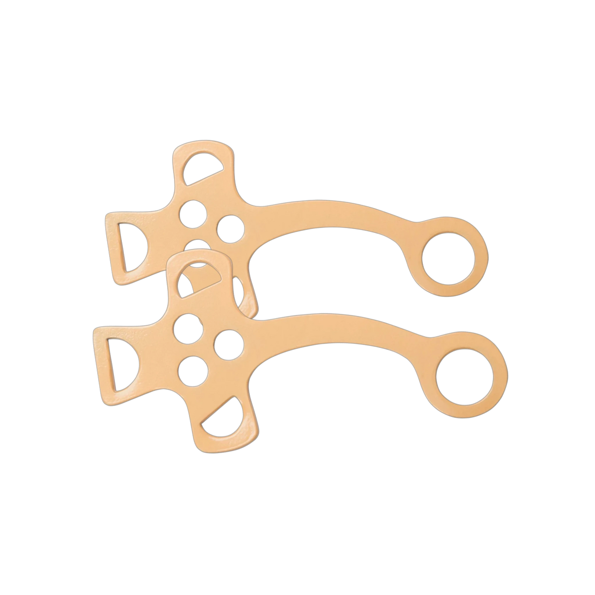 TdeT - Branches d'hackamore or