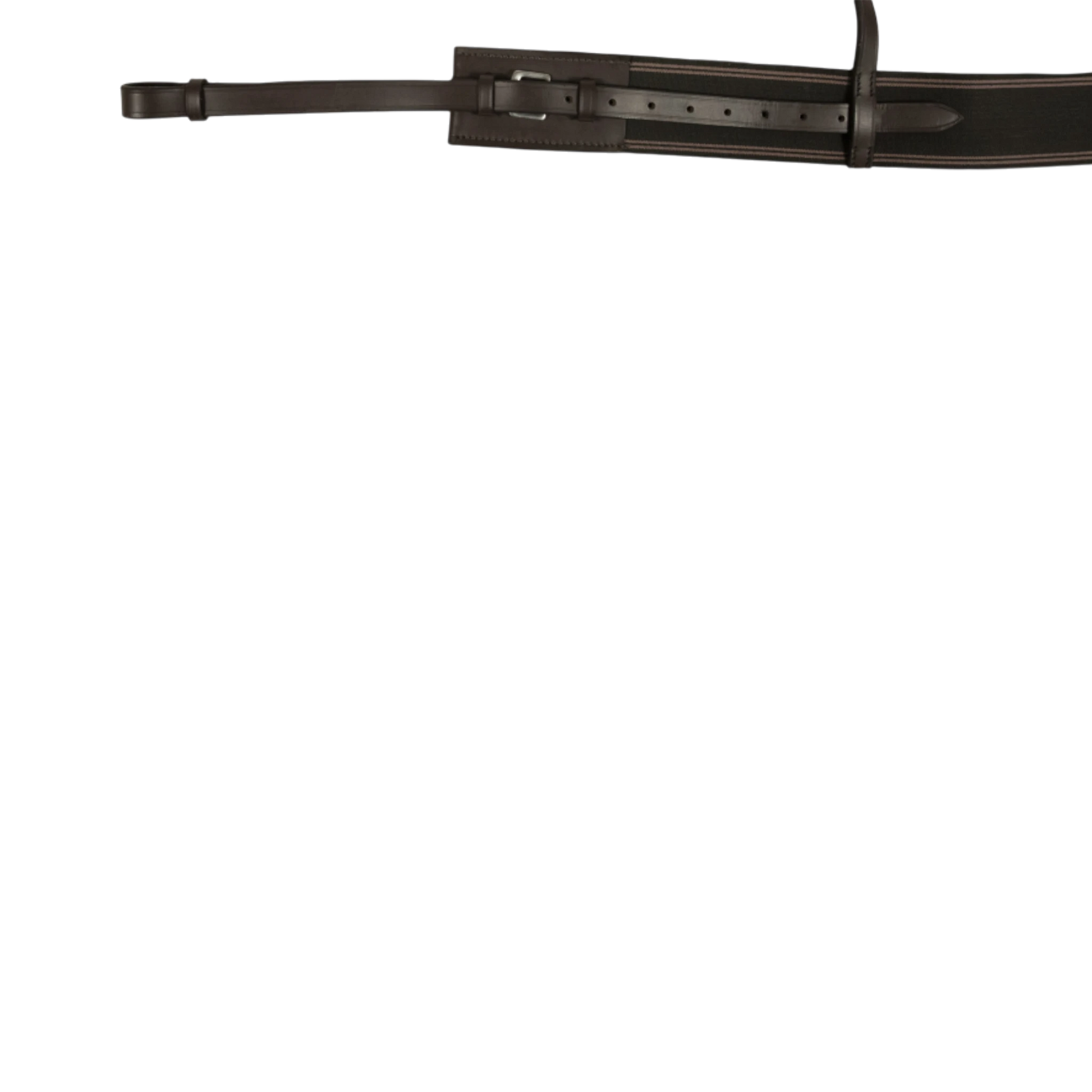 TdeT - Bricole élastique havane foncé