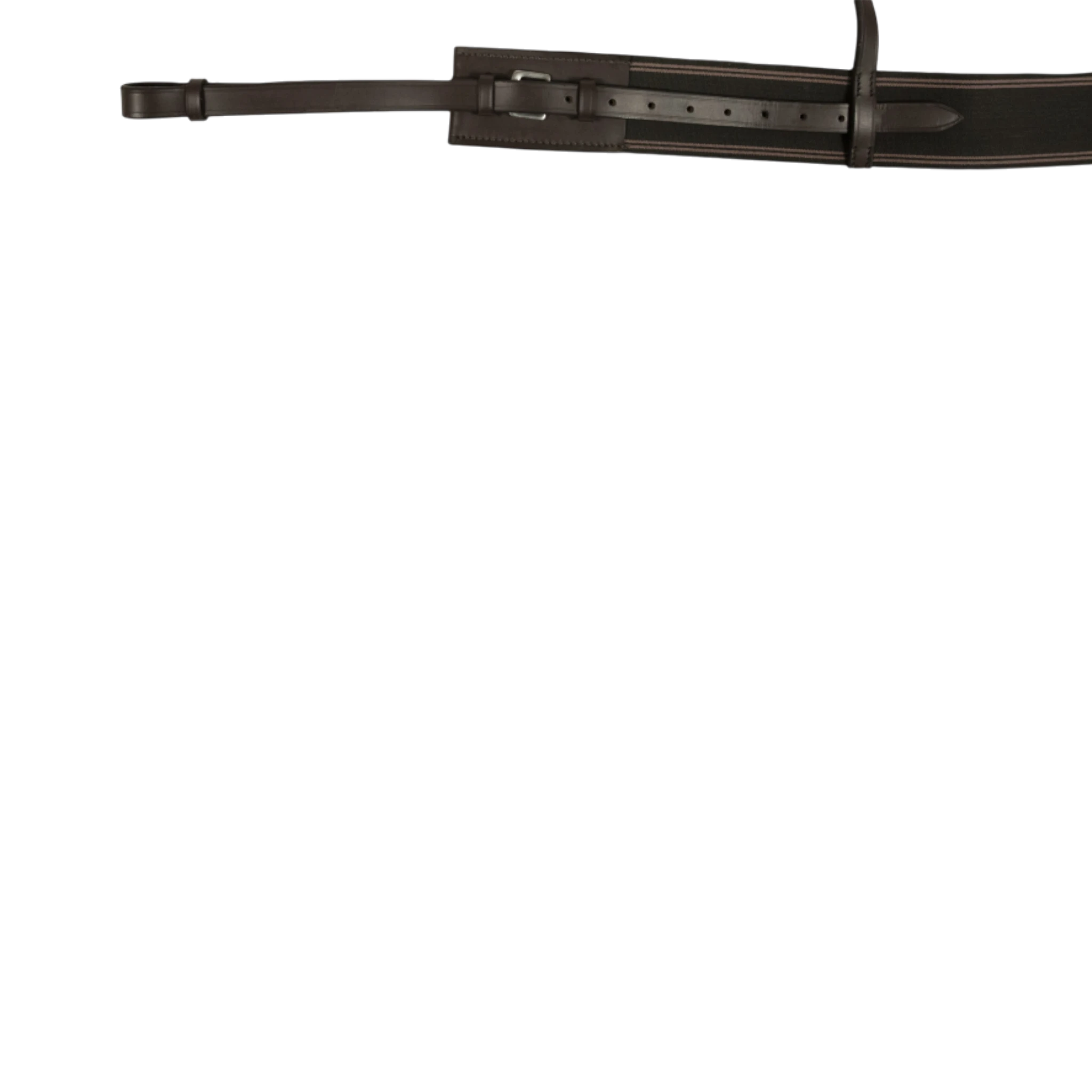 TdeT - Bricole élastique havane foncé