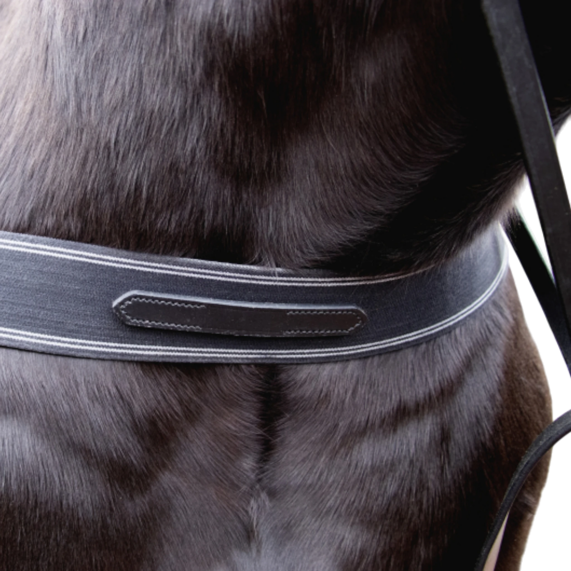 TdeT - Bricole élastique noir