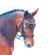 TdeT - Bride Cezanne avec rênes noir