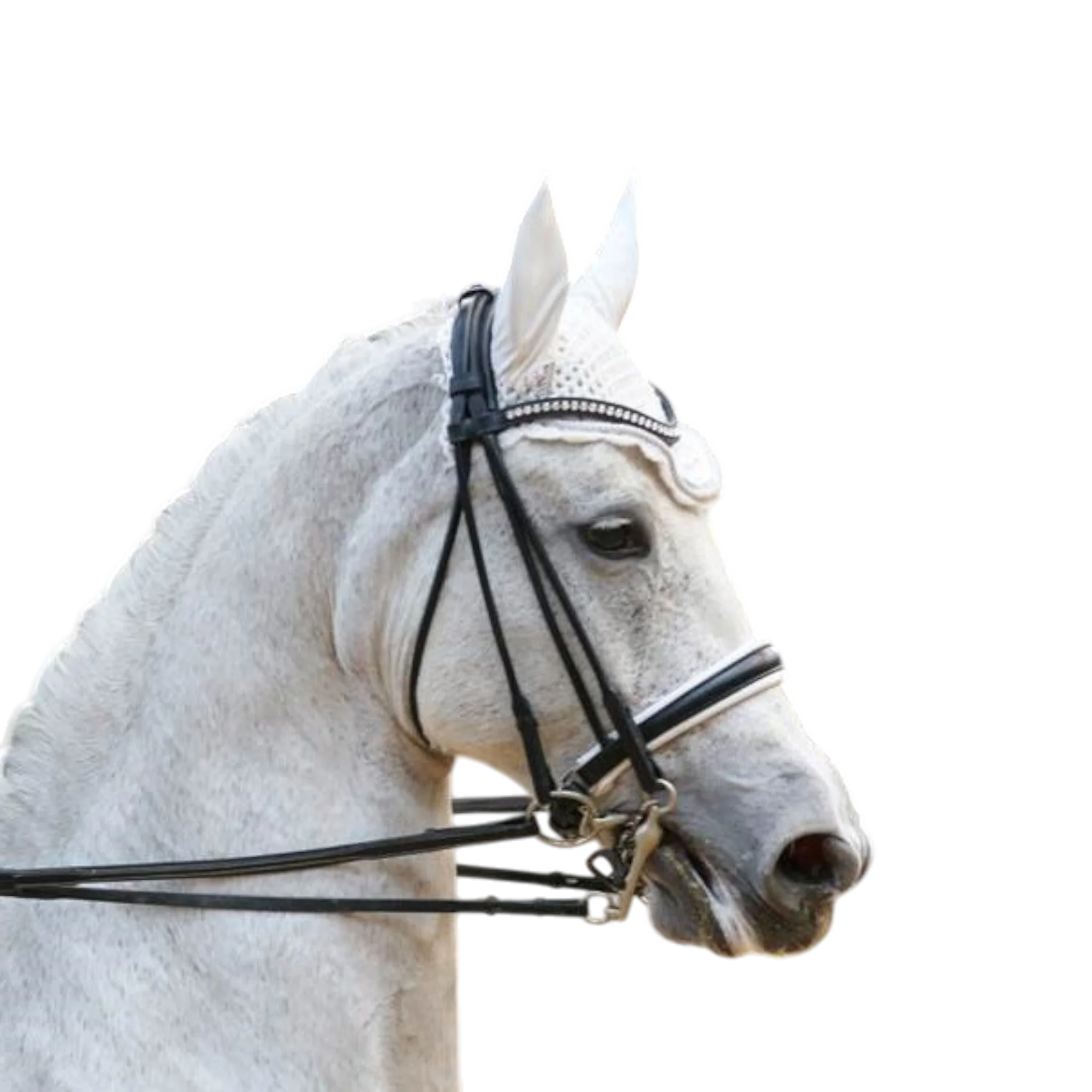 TdeT - Bride Ribera avec rênes noir