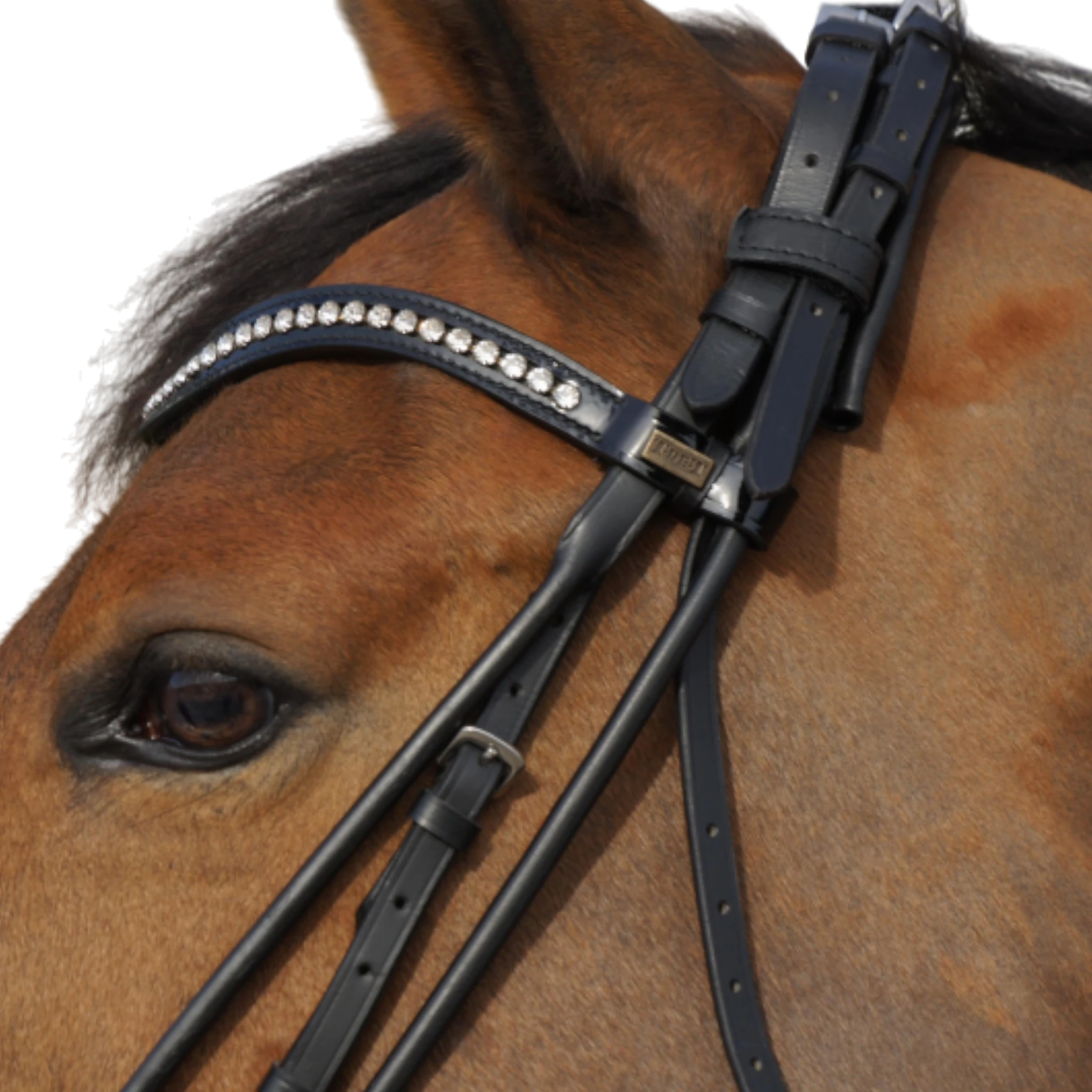 TdeT - Bride Ribera avec rênes noir