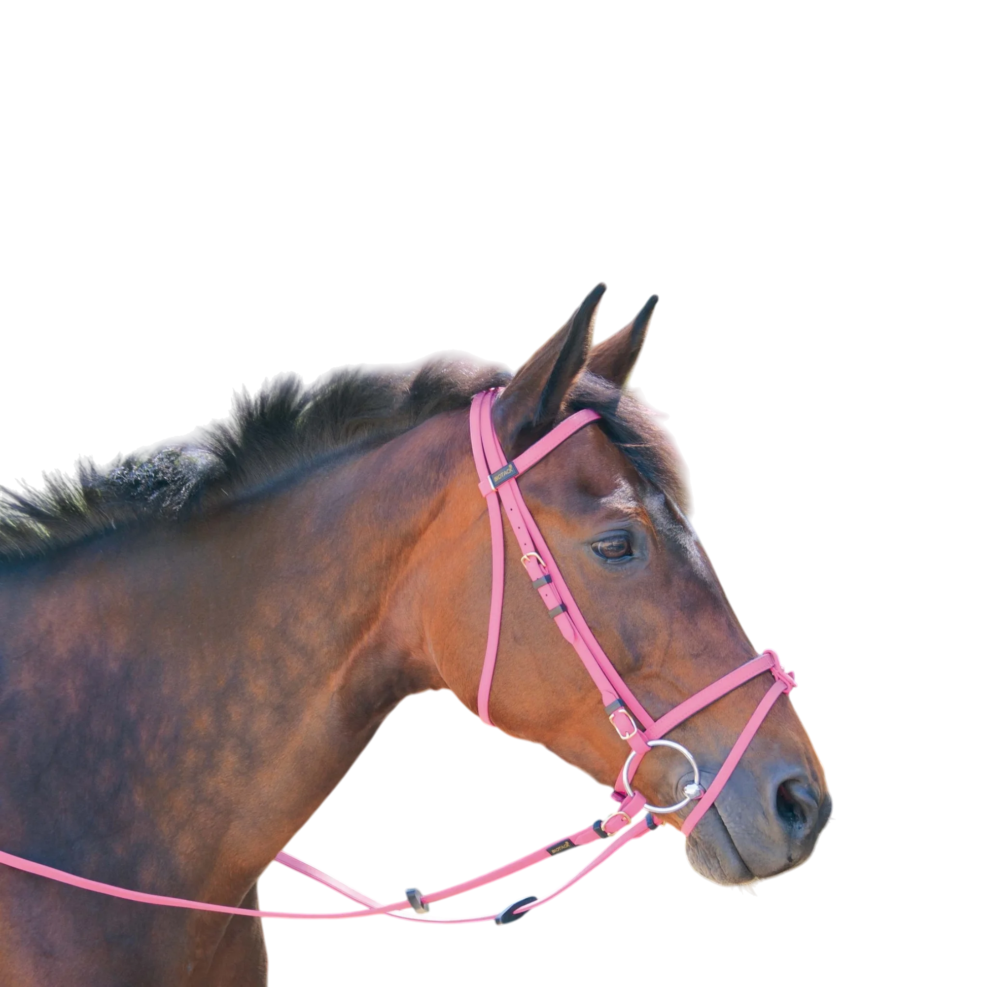 TdeT - Bridon Biotack® fuchsia