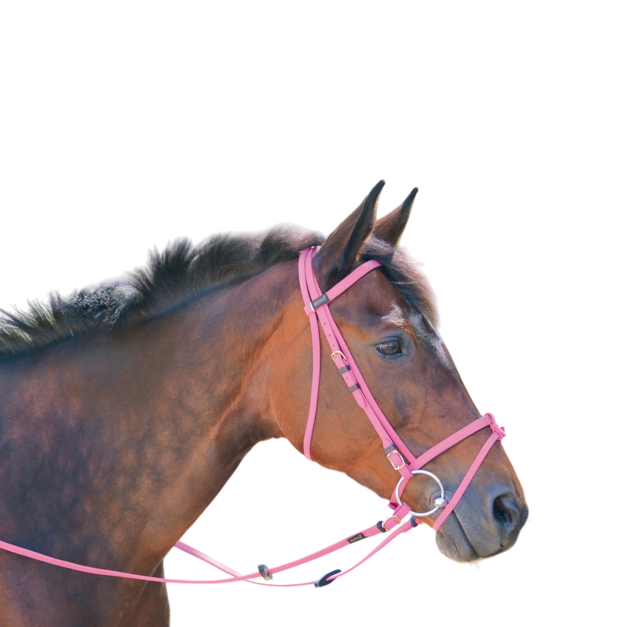 TdeT - Bridon Biotack® fuchsia