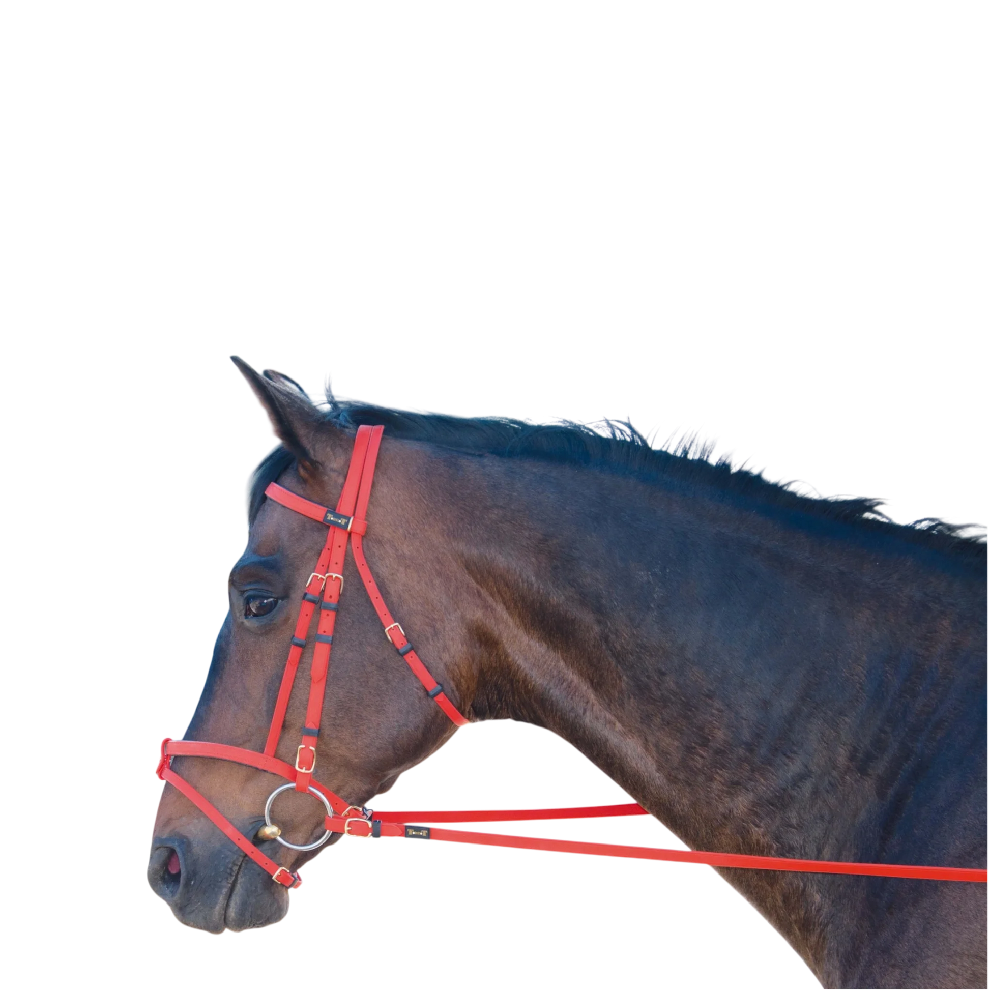 TdeT - Bridon Biotack® orange