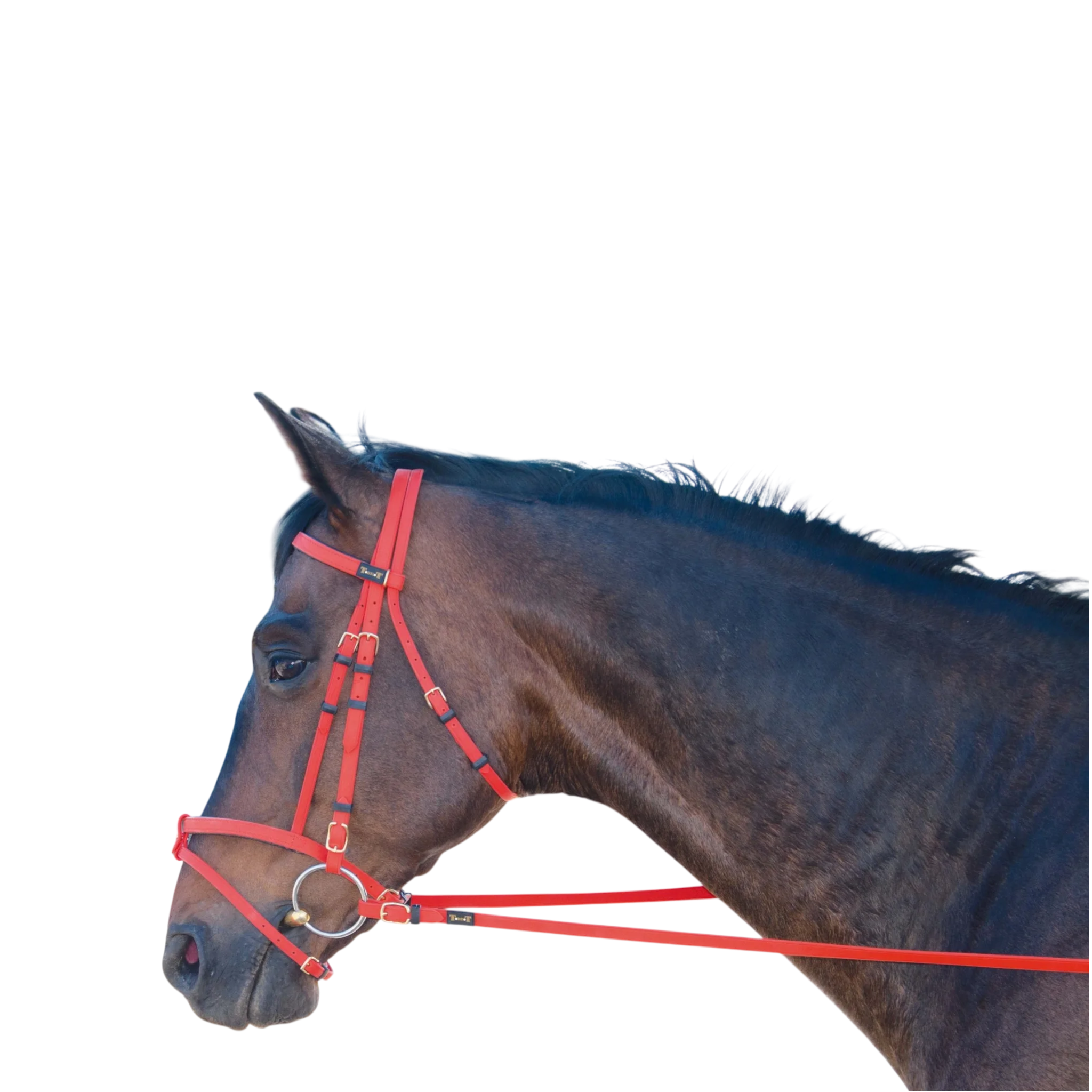 TdeT - Bridon Biotack® orange