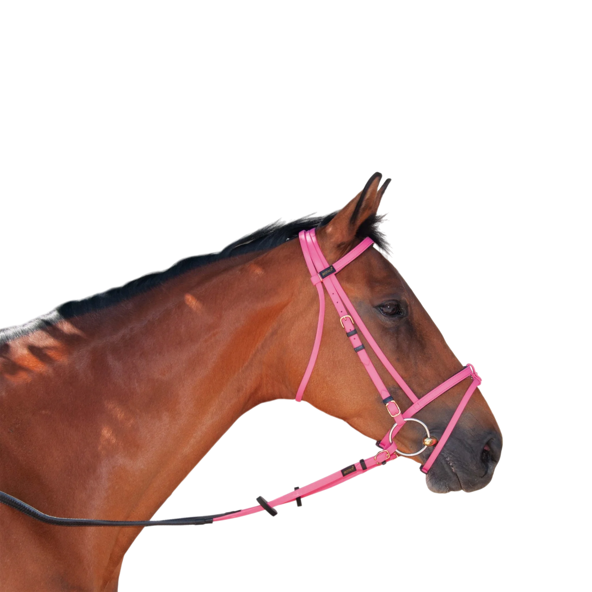 TdeT - Bridon Biotack® rose